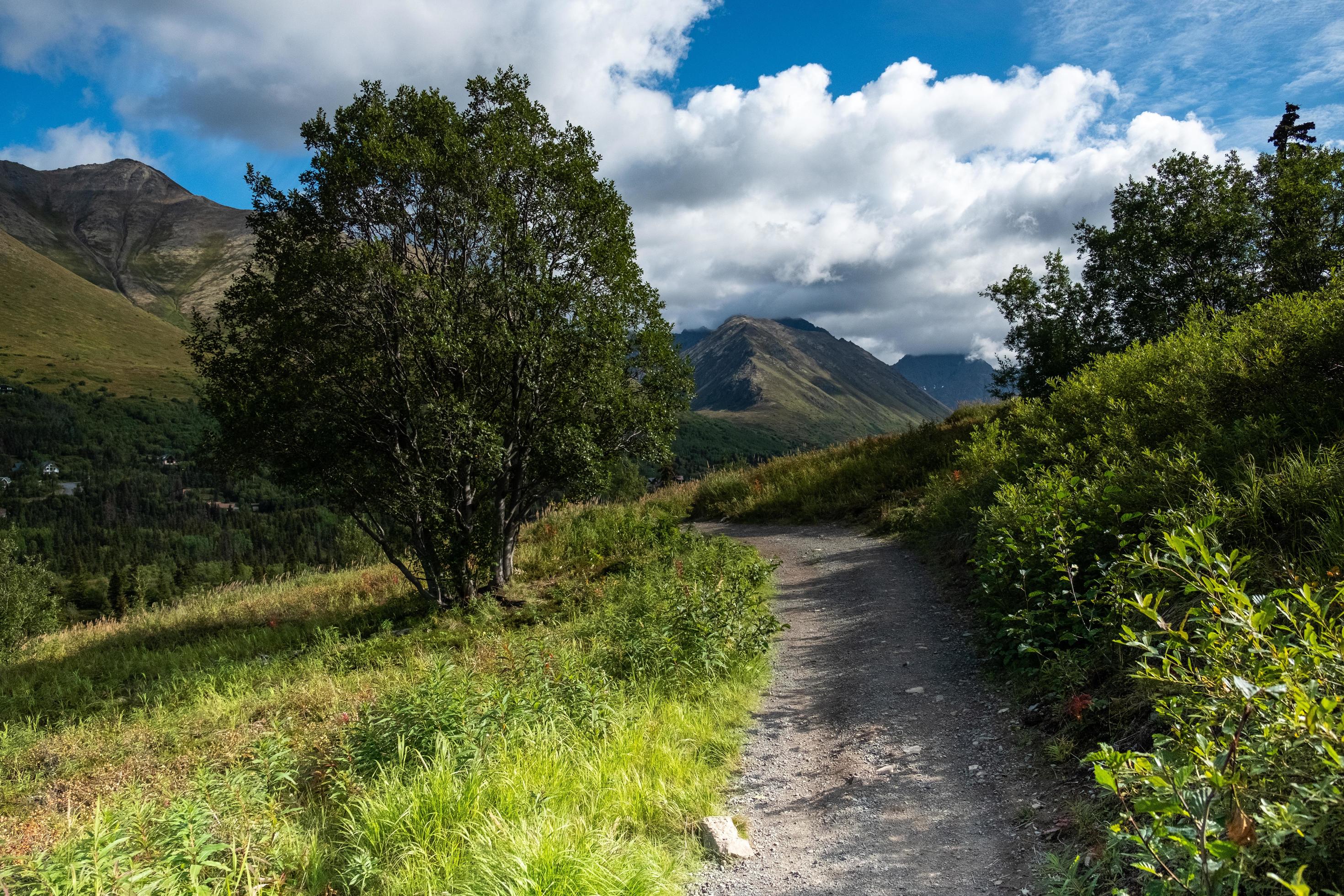 Hiking trail in Alaska during the day Stock Free