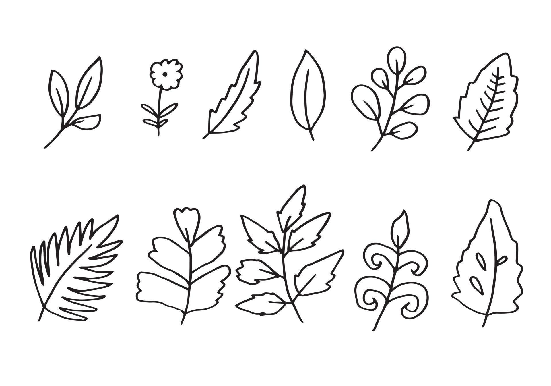 a collection of hand-drawn flower images such as bellflower, chrysanthemums, sunflowers, cotton flowers, and tropical leaves Stock Free