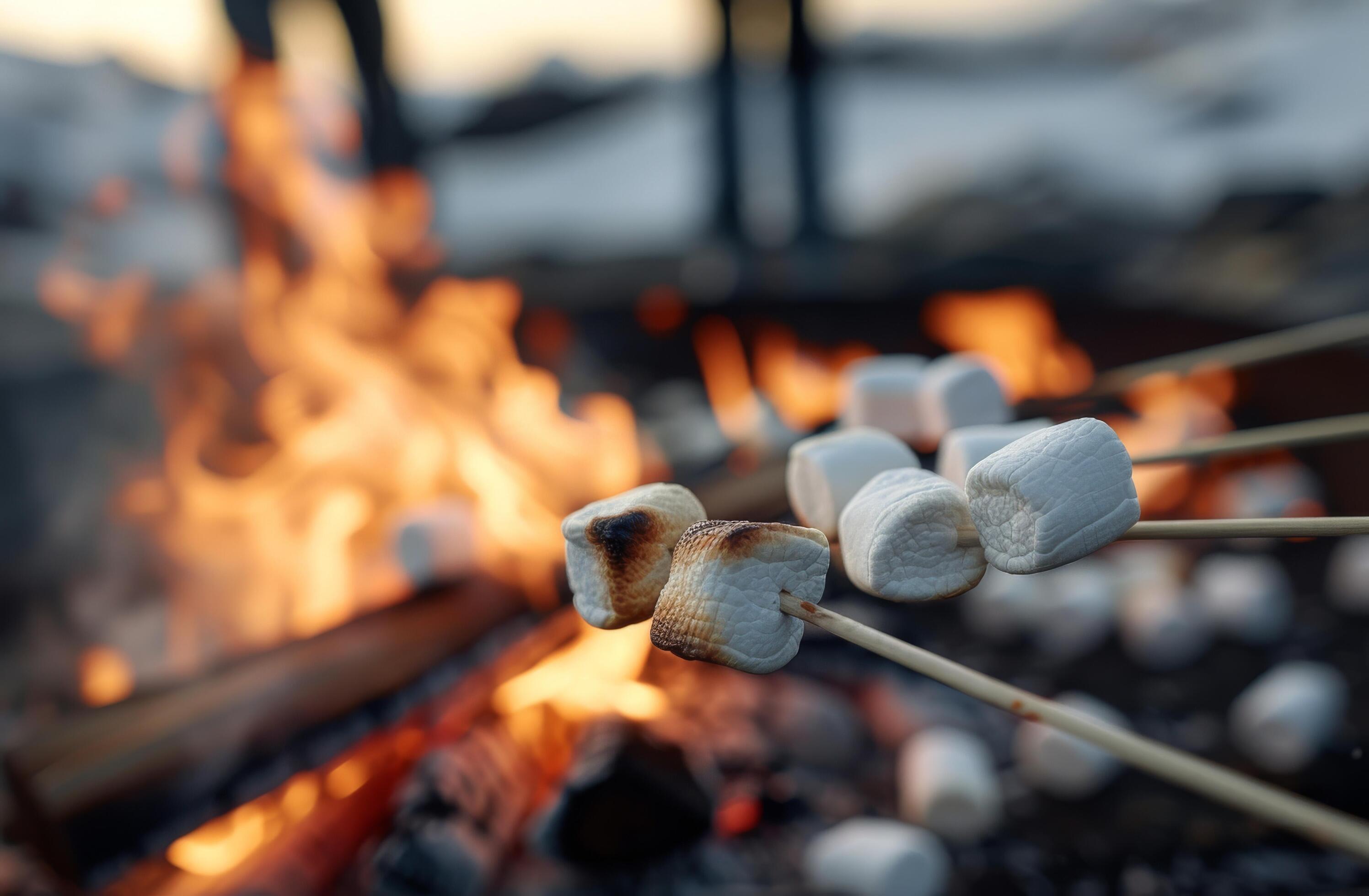 Marshmallows Roasting Over A Campfire Stock Free