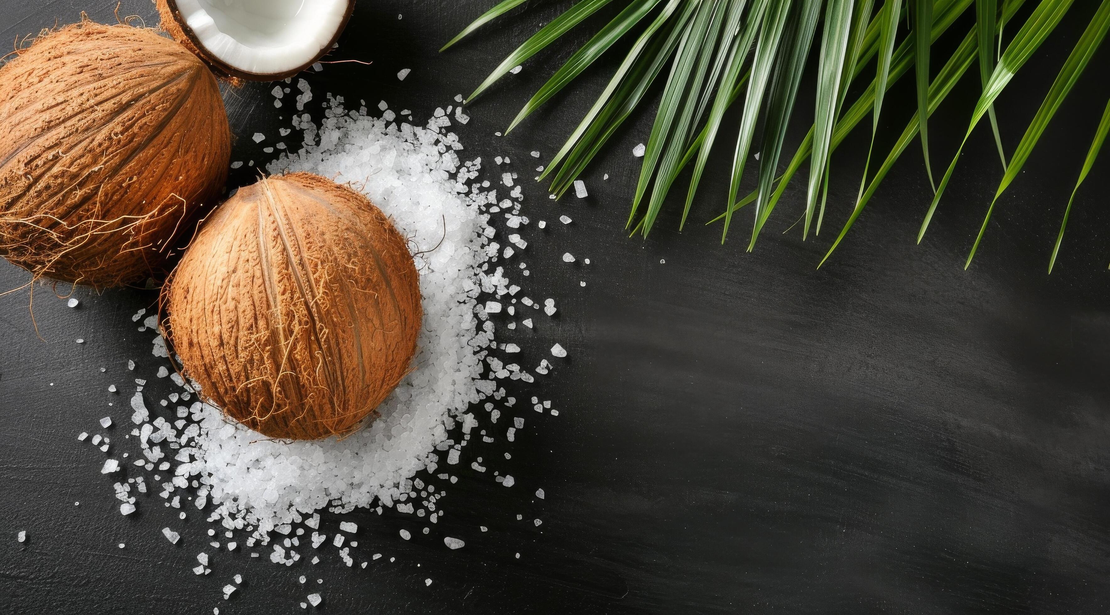 Coconuts and Palm Leaf on Black Background Stock Free