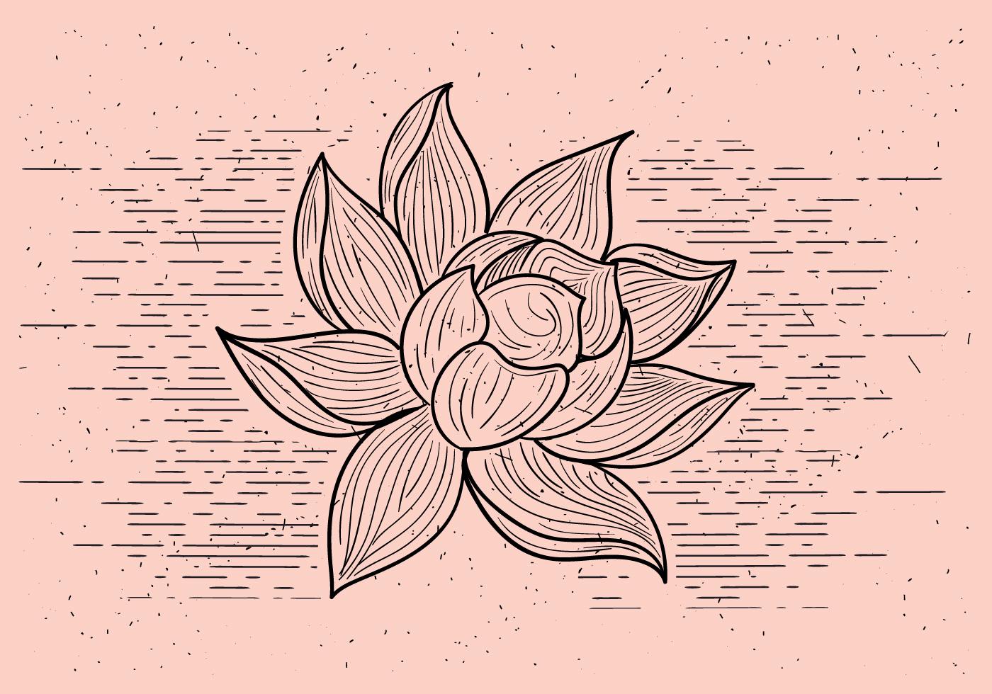 Free Detailed Vector Flower Stock Free and Free SVG