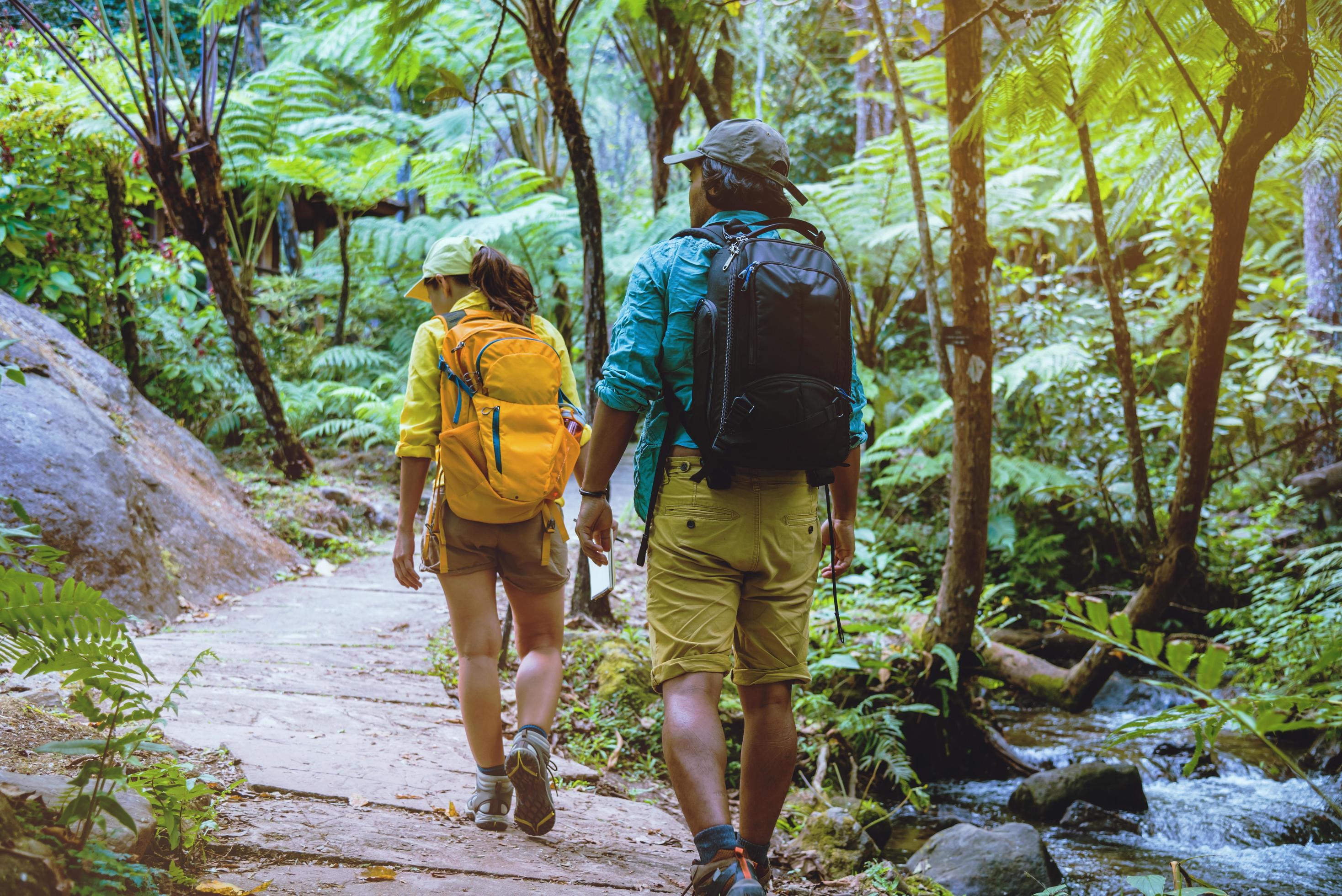 lover woman and man asian travel nature.Travel relax. Walking and studying nature in the forest. Thailand Stock Free