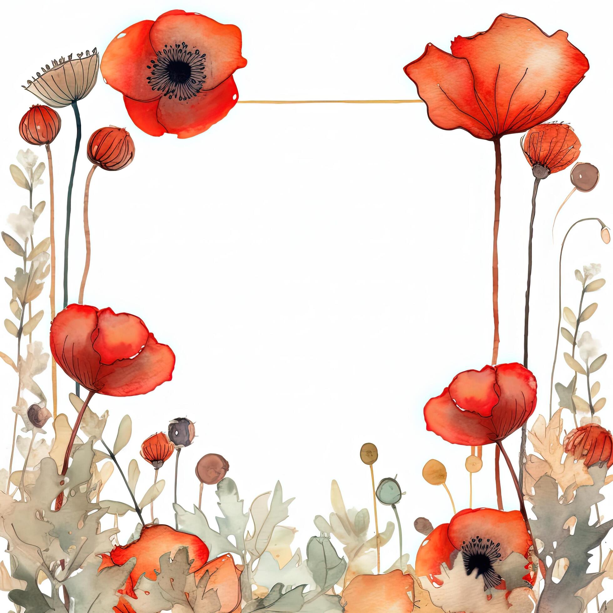 Red watercolor poppy flower frame. Illustration Stock Free