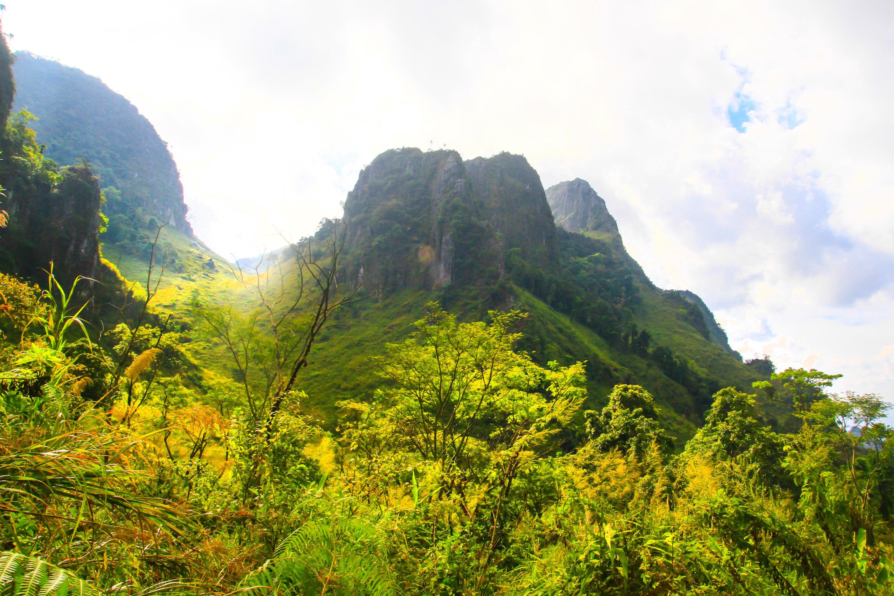 Beautiful Landscape of rocky Limestone Mountain and green forest with blu sky at Chiang doa national park in Chiangmai, Thailand Stock Free