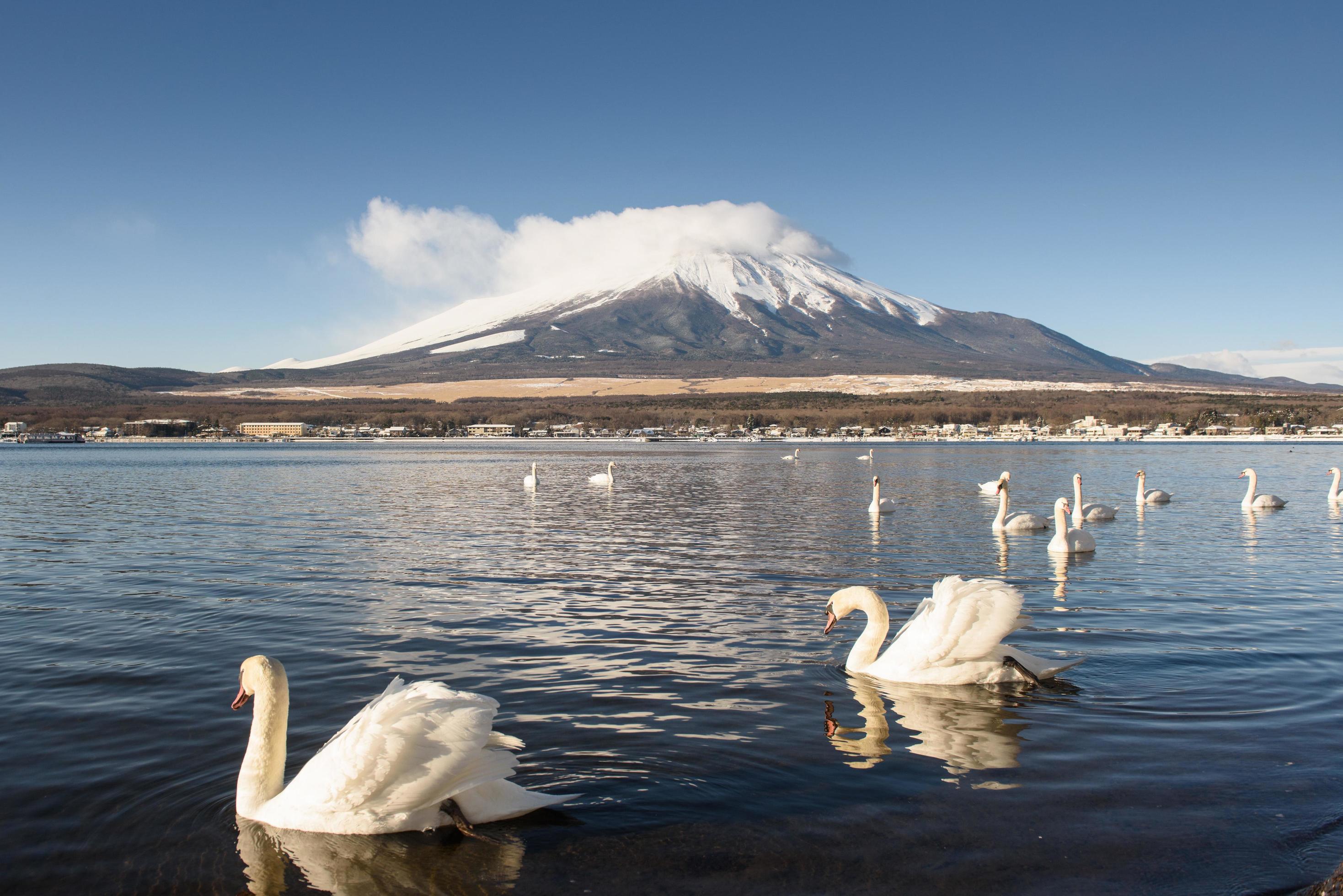 Mount Fuji reflected in Lake Yamanaka at dawn, Japan. Stock Free