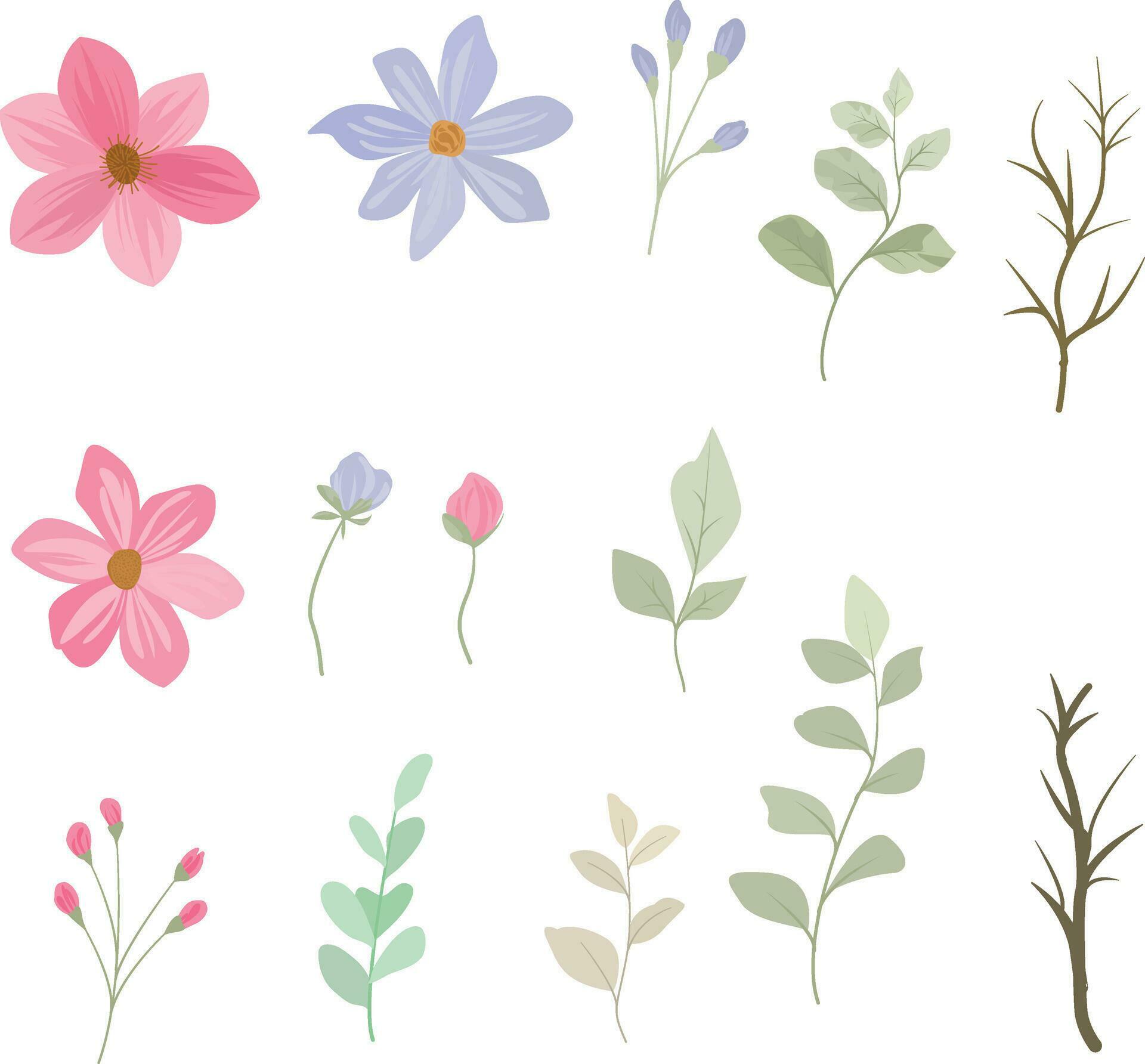 wild flowers and leaves elements Stock Free