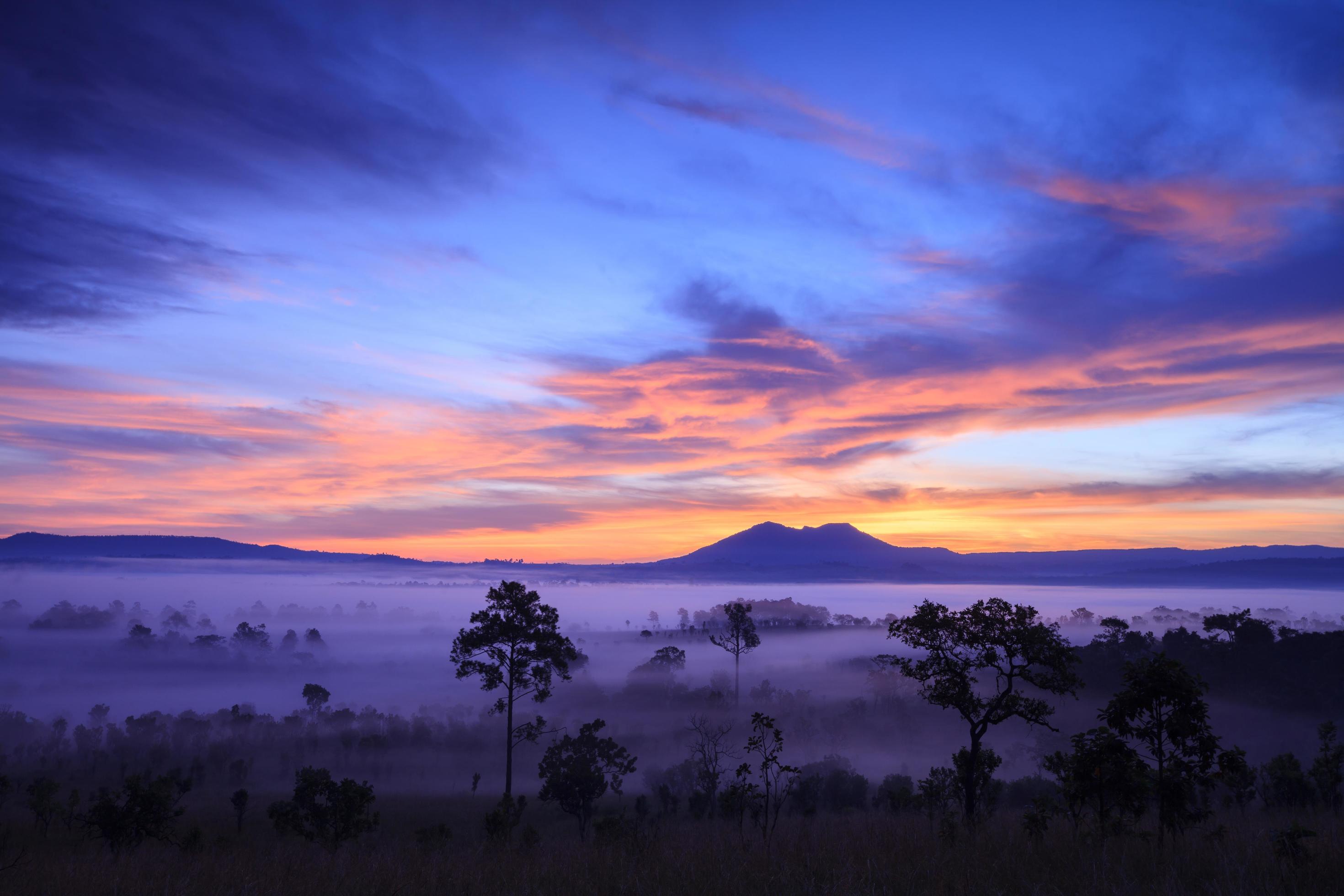 Misty morning sunrise at Thung Salang Luang National Park Phetchabun,Tung slang luang is Grassland savannah in Thailand. Stock Free