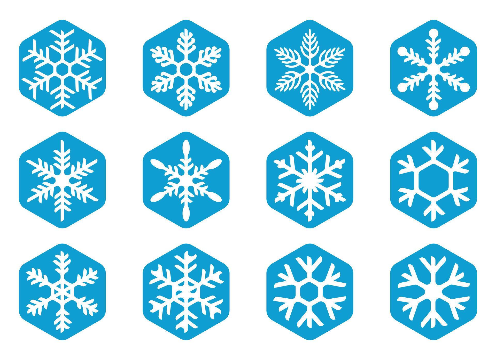 Snow flower design icon set Stock Free