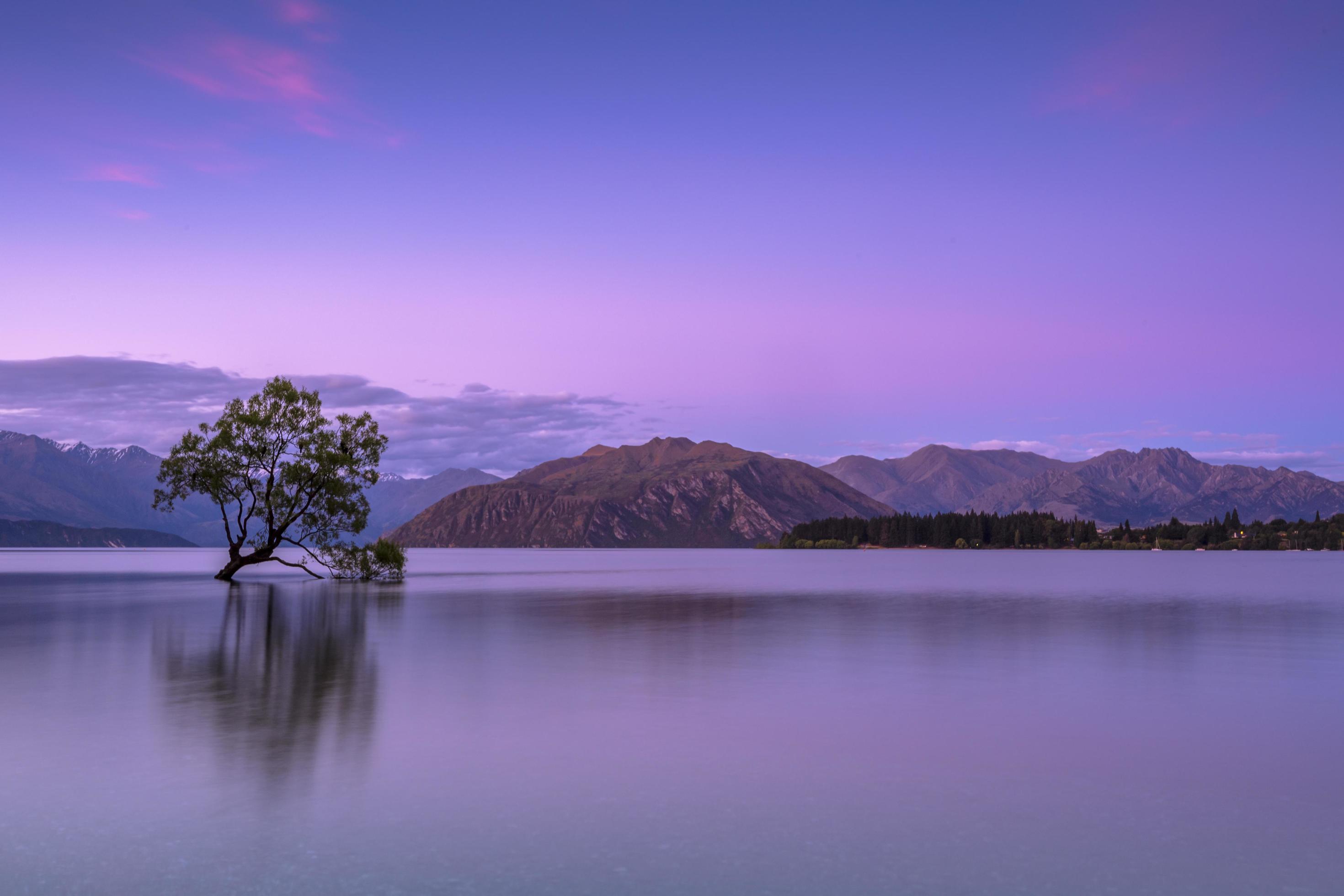 Tree in body of water near mountains Stock Free