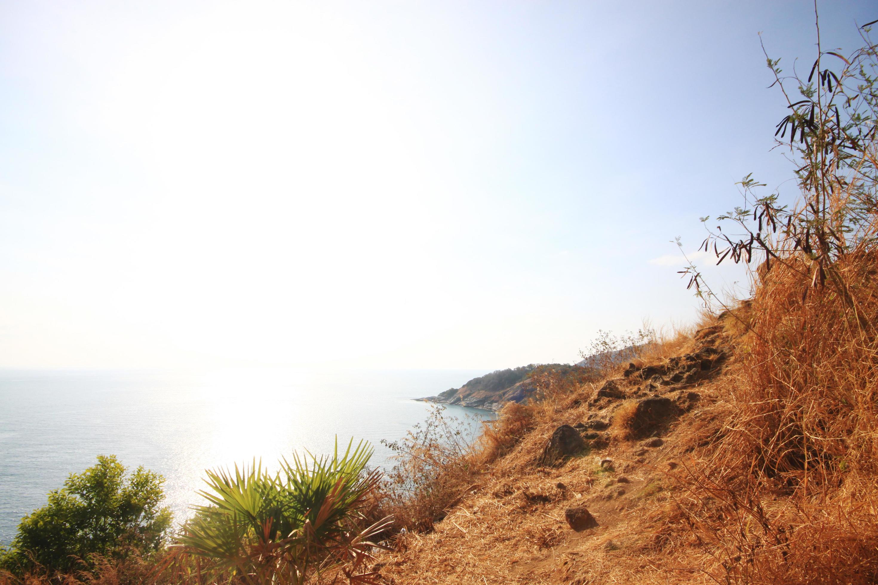 Beautiful seascape with sky twilight of sunset and Palm tree with Dry grass field on mountain of Phrom Thep Cape in Phuket island, Thailand. Stock Free