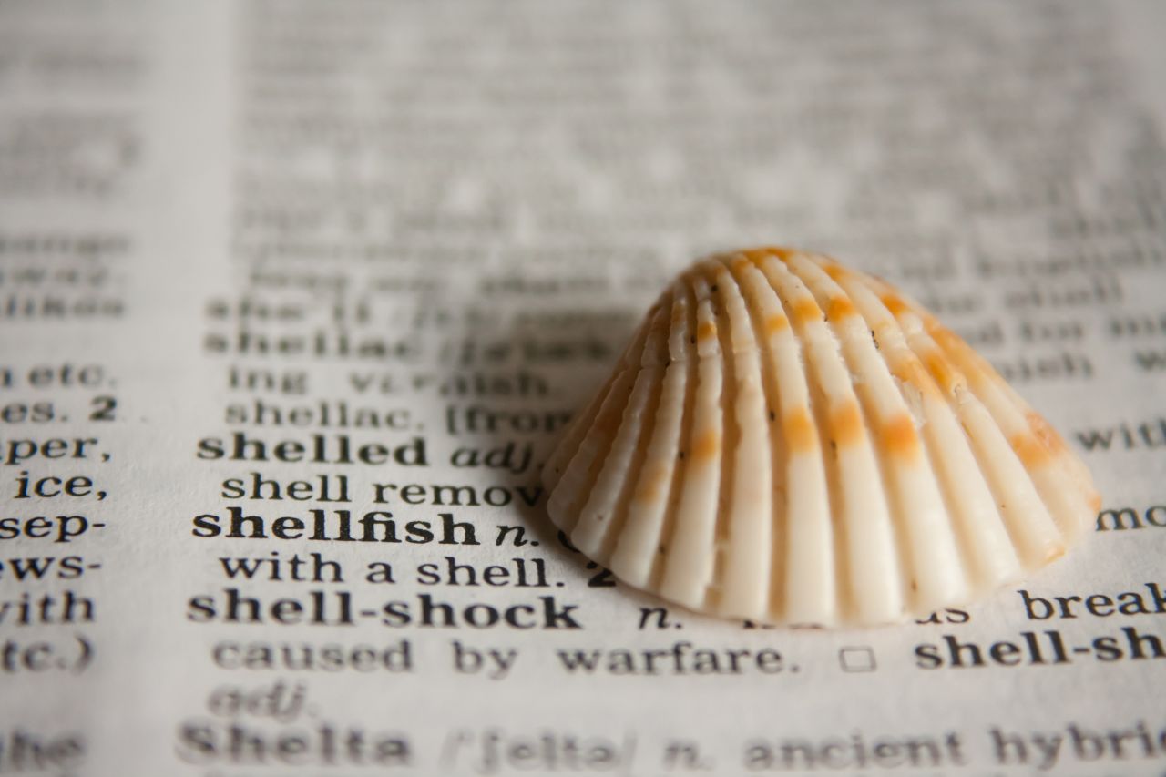 Shell Dictionary Stock Free