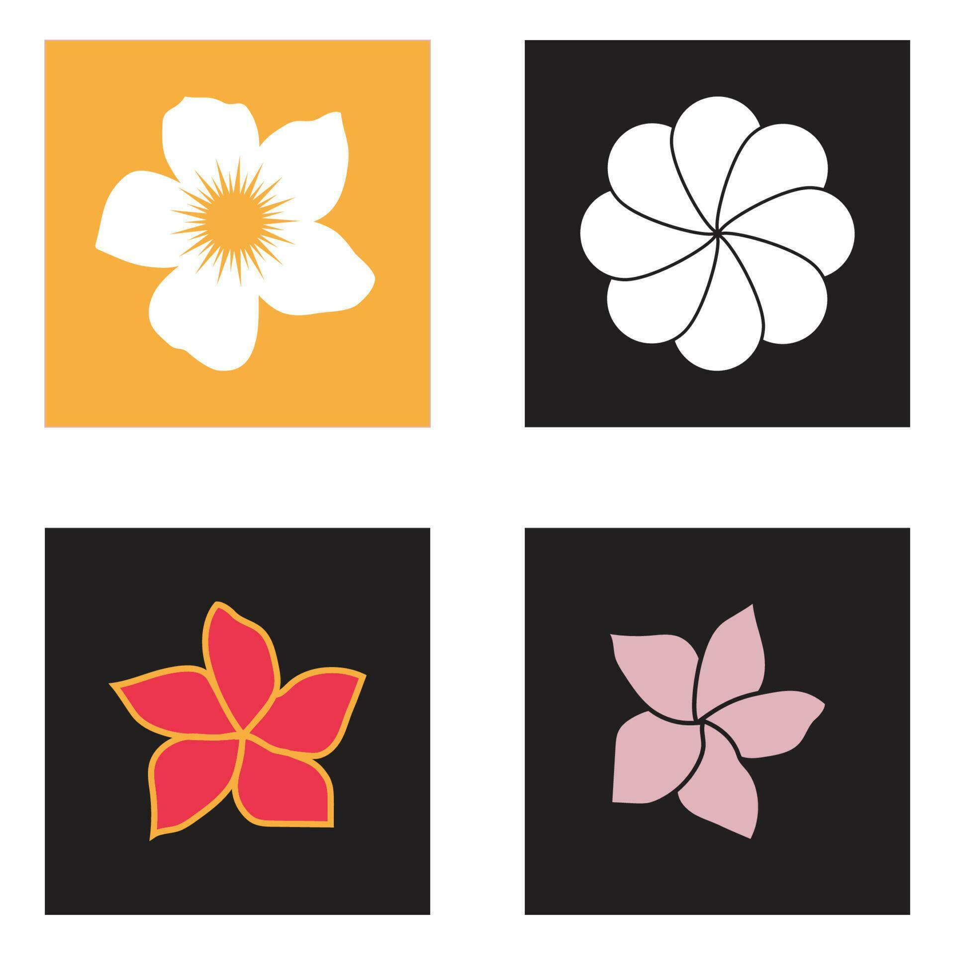 Beauty plumeria icon flowers design illustration symbol Stock Free