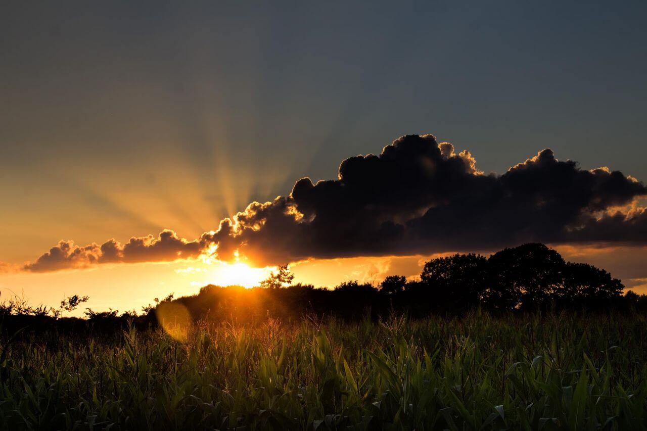 Backlit Stock Free