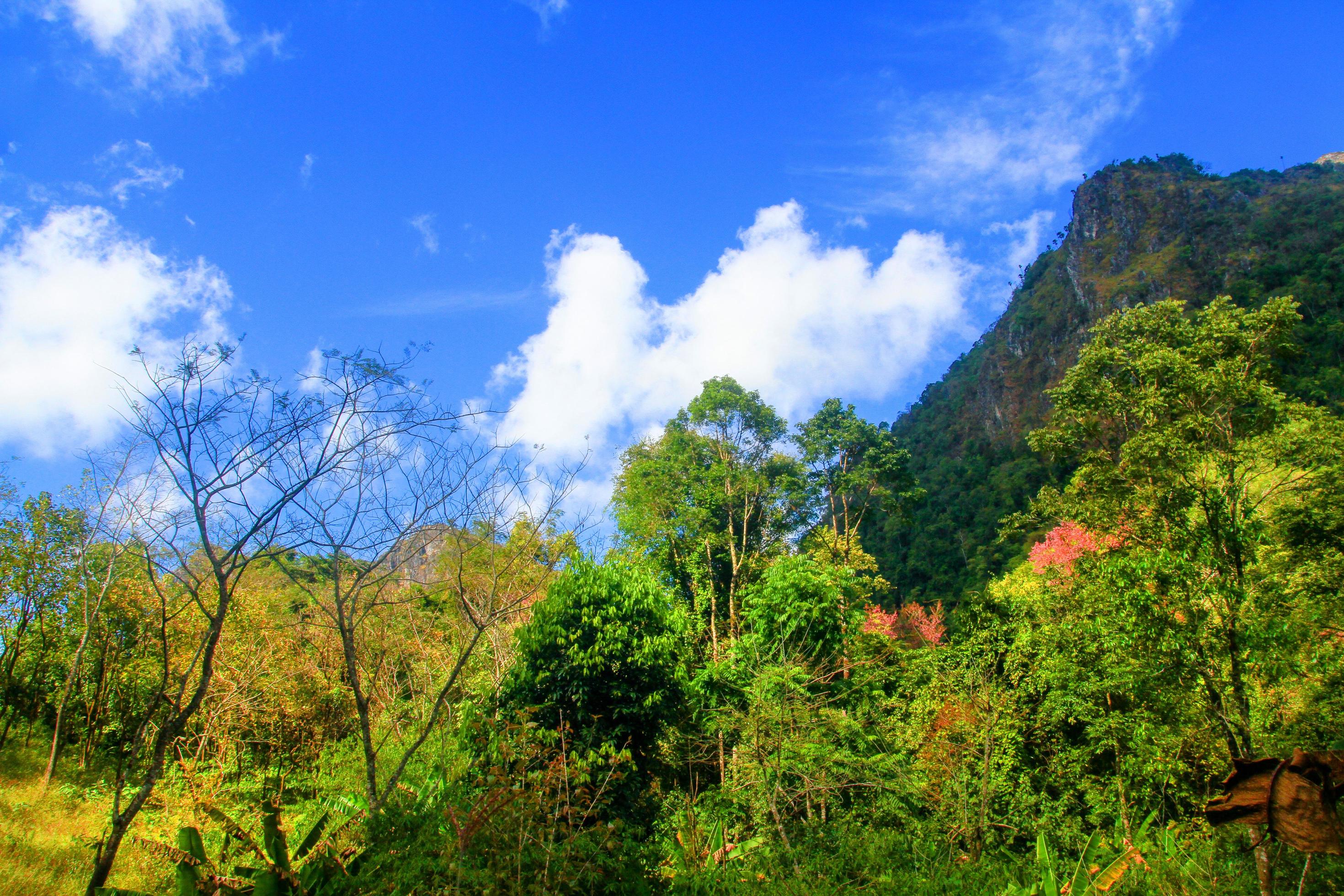 Beautiful Landscape of rocky Limestone Mountain and green forest with blu sky at Chiang doa national park in Chiangmai, Thailand Stock Free