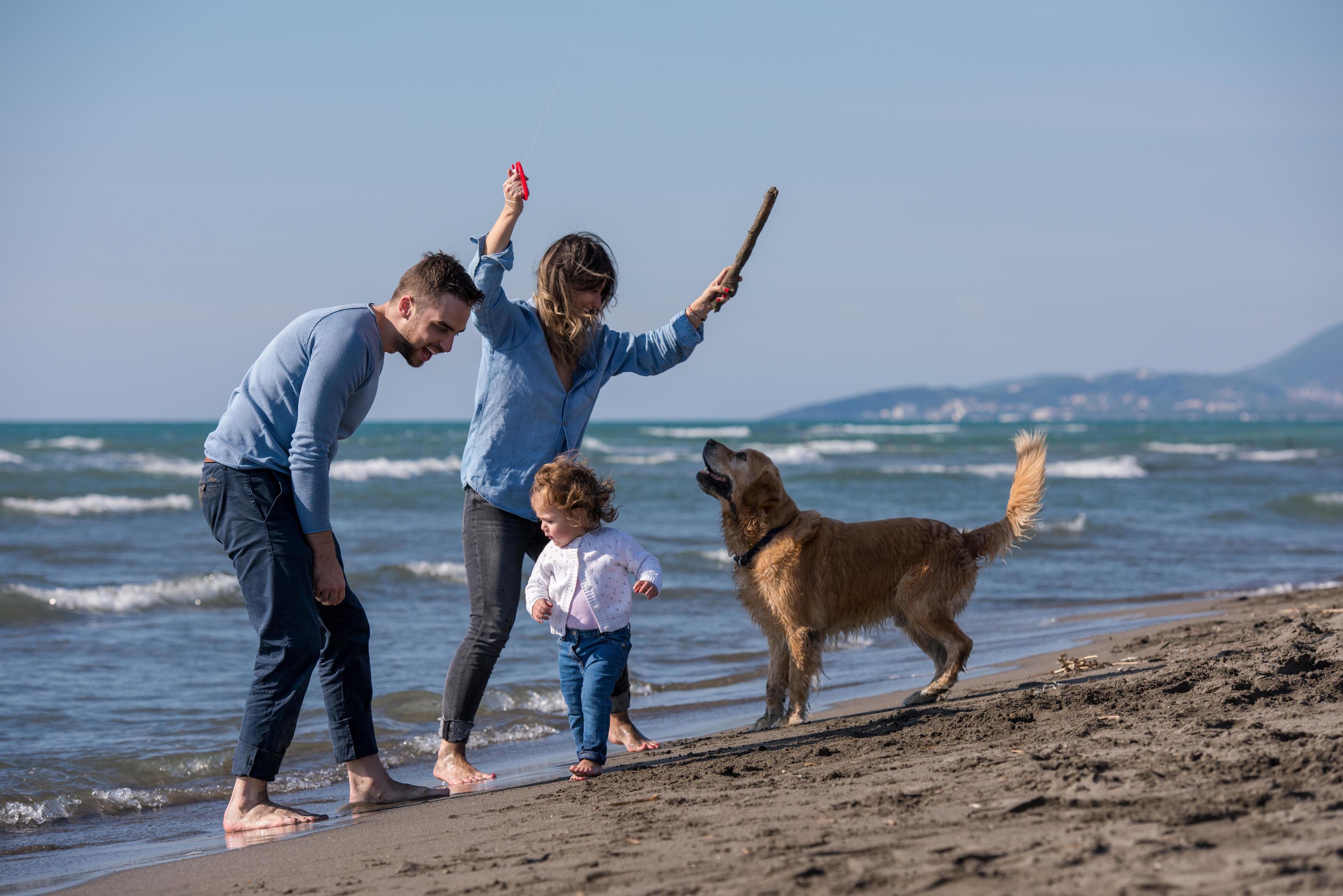 happy young family enjoying vecation during autumn day Stock Free