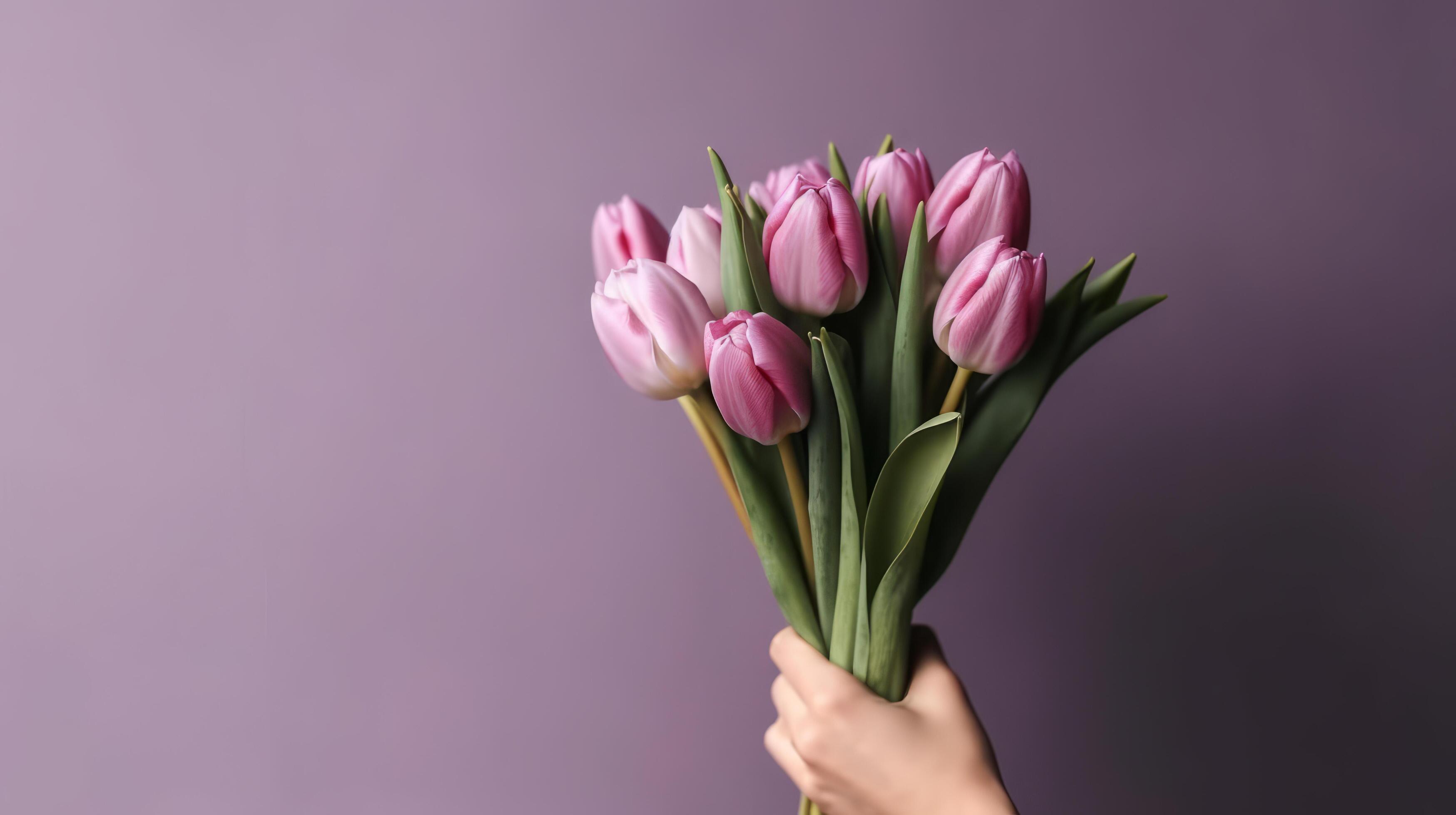 Violet tulip flowers bouquet on hands. Illustration Stock Free