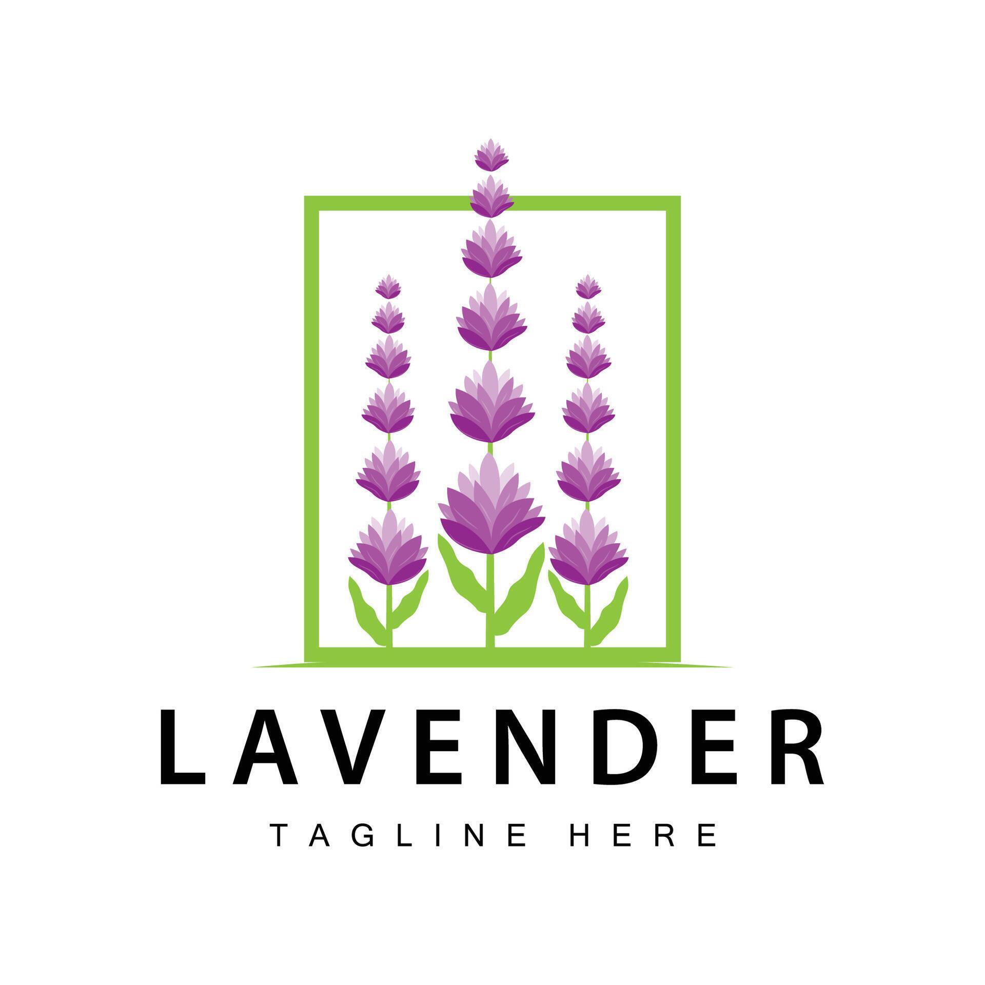 Lavender logo simple design vector cosmetic plant purple color and aromatherapy lavender flower garden template Stock Free