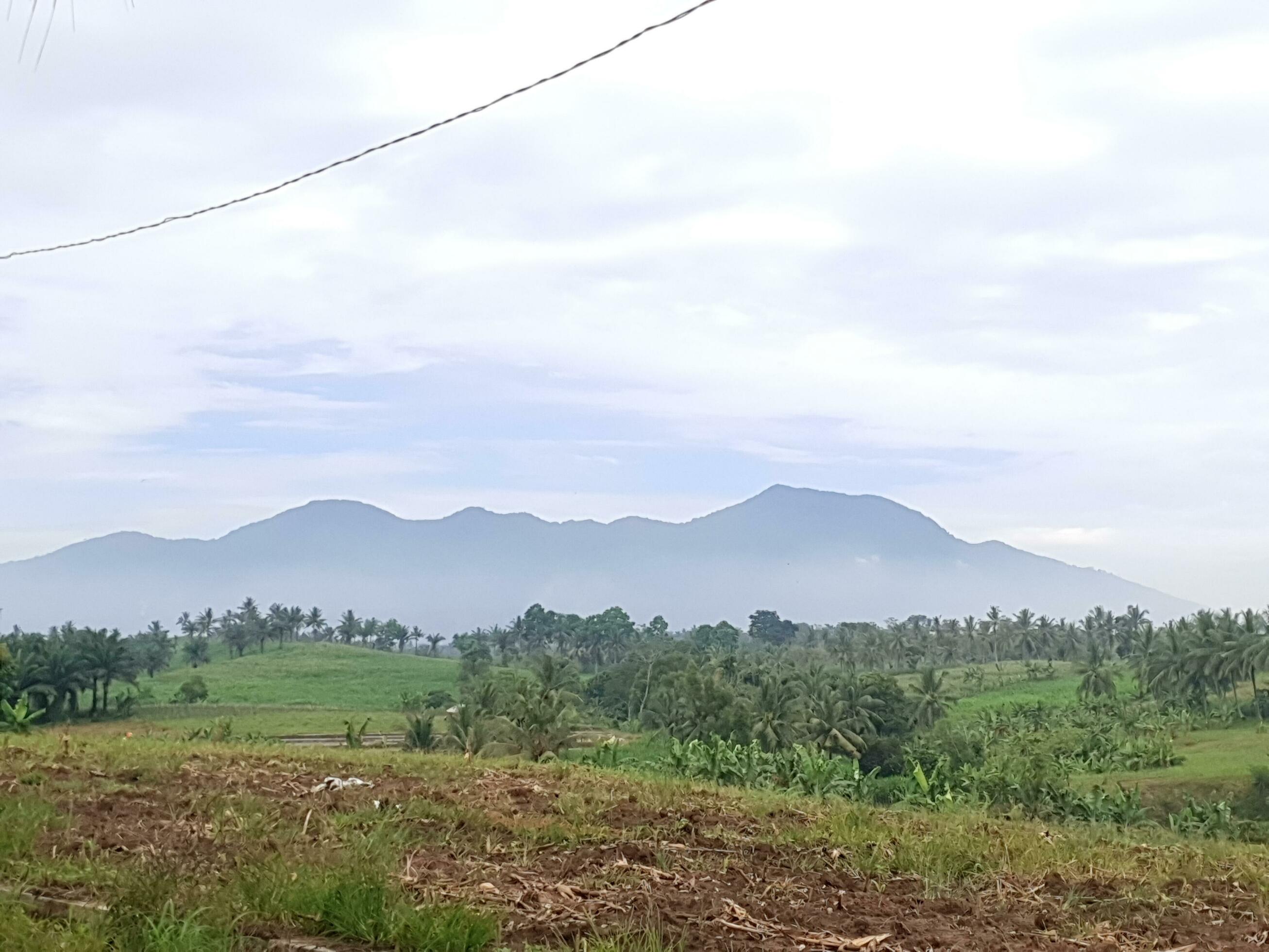 Natural scenery in the countryside that looks like a misty mountain Stock Free