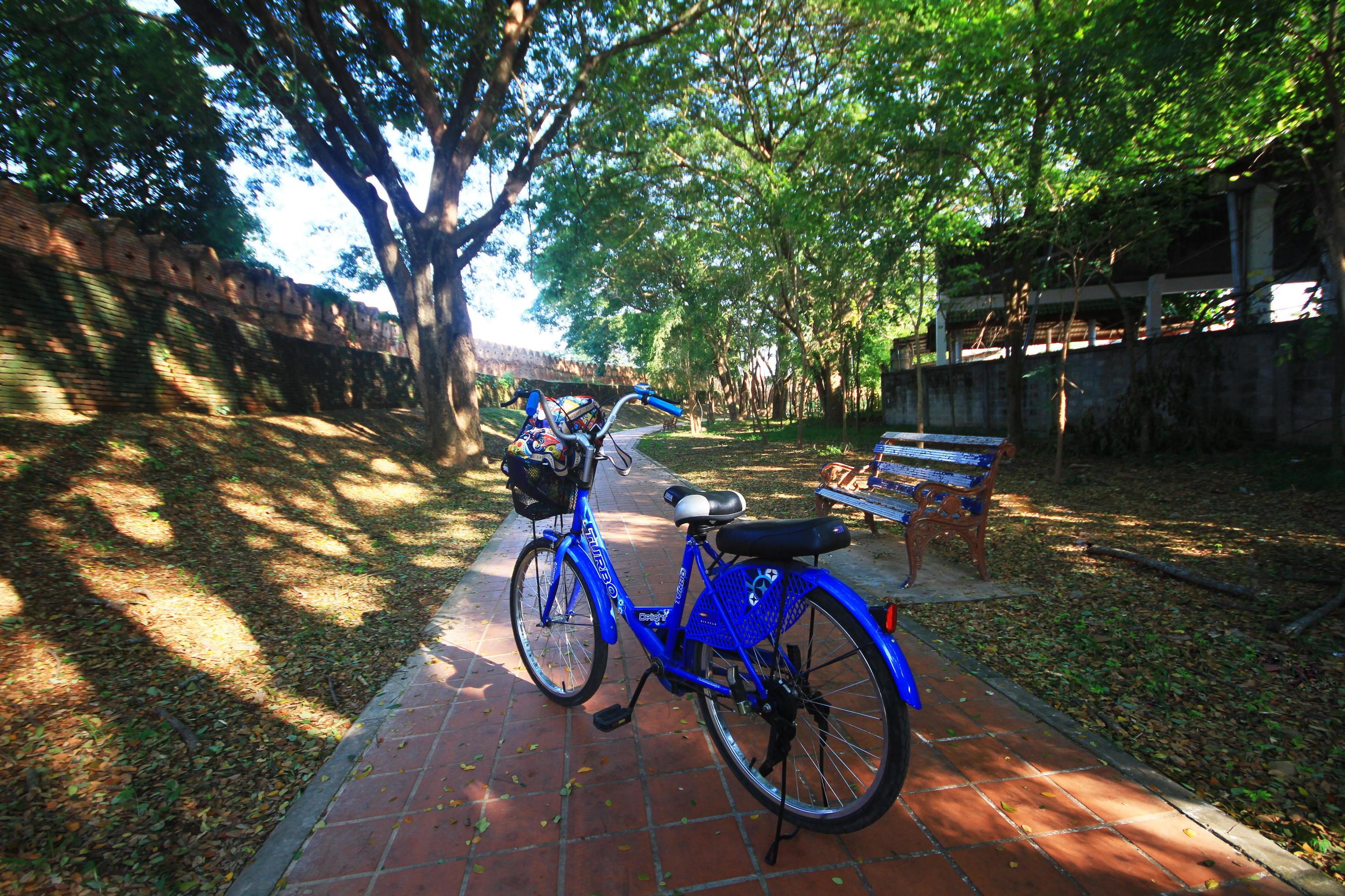 Vintage blue bike parking in garden near Historic city brick wall. Stock Free