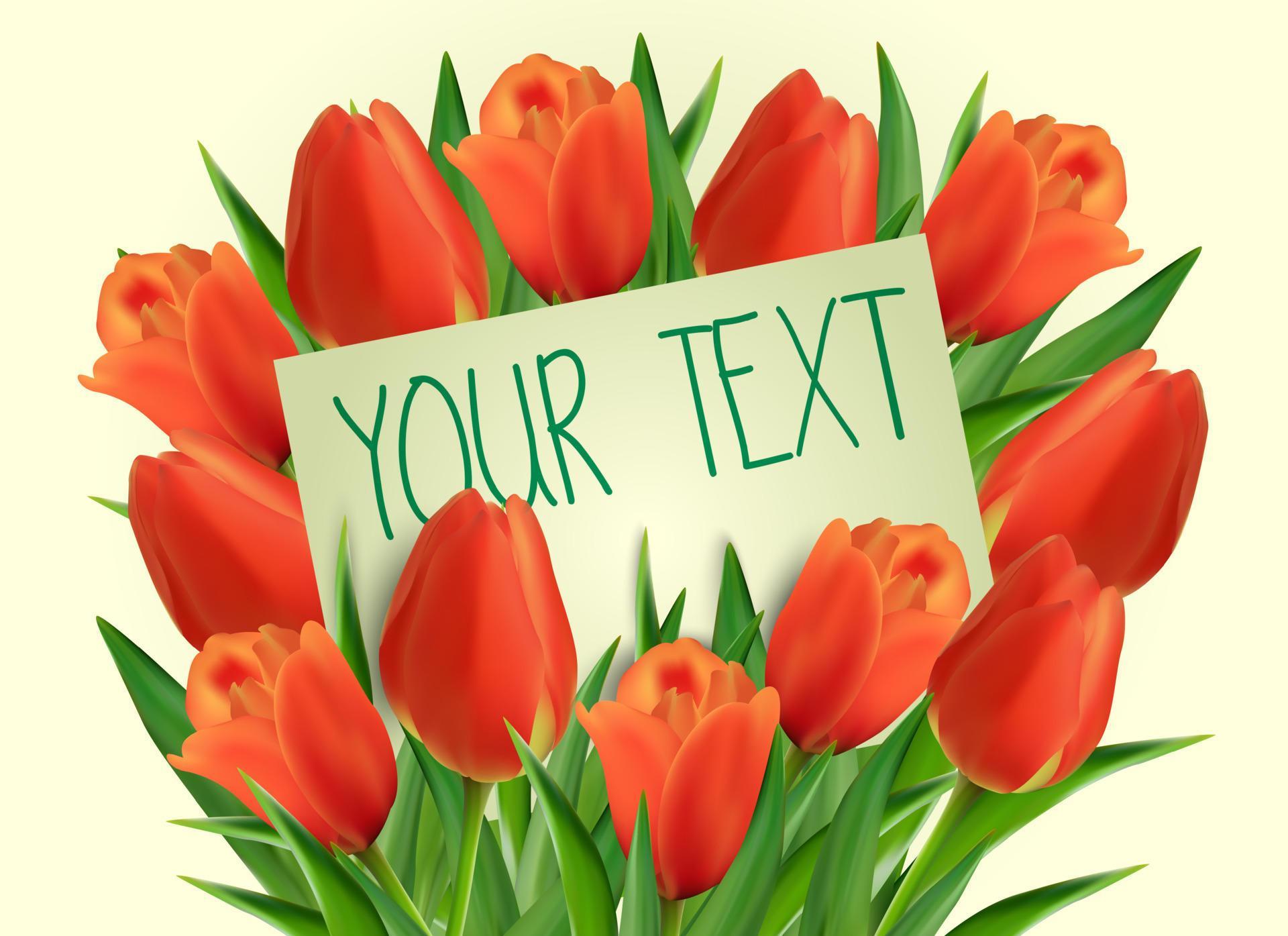 Red tulip flowers with paper card Stock Free