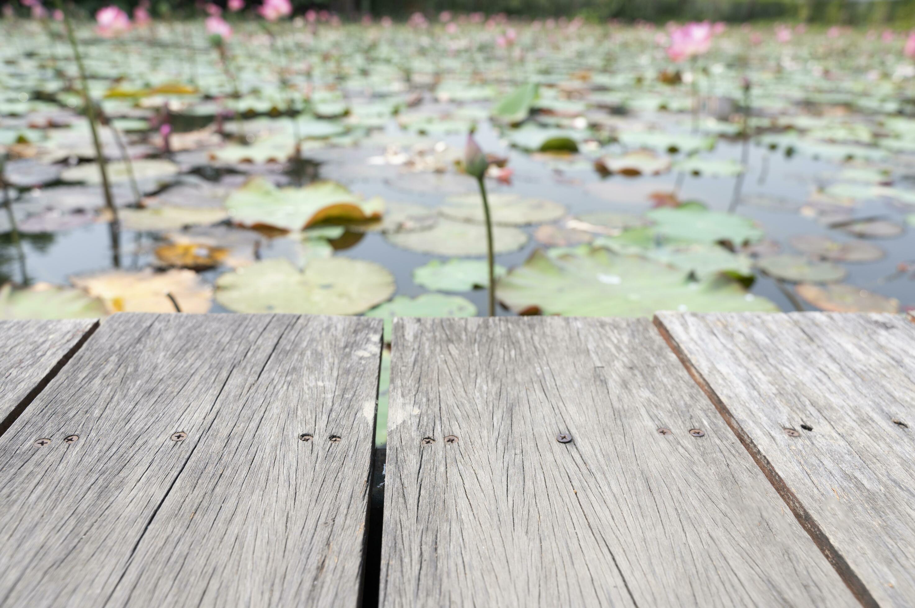 Wooden table behind blurred lotus pond on nature background Stock Free