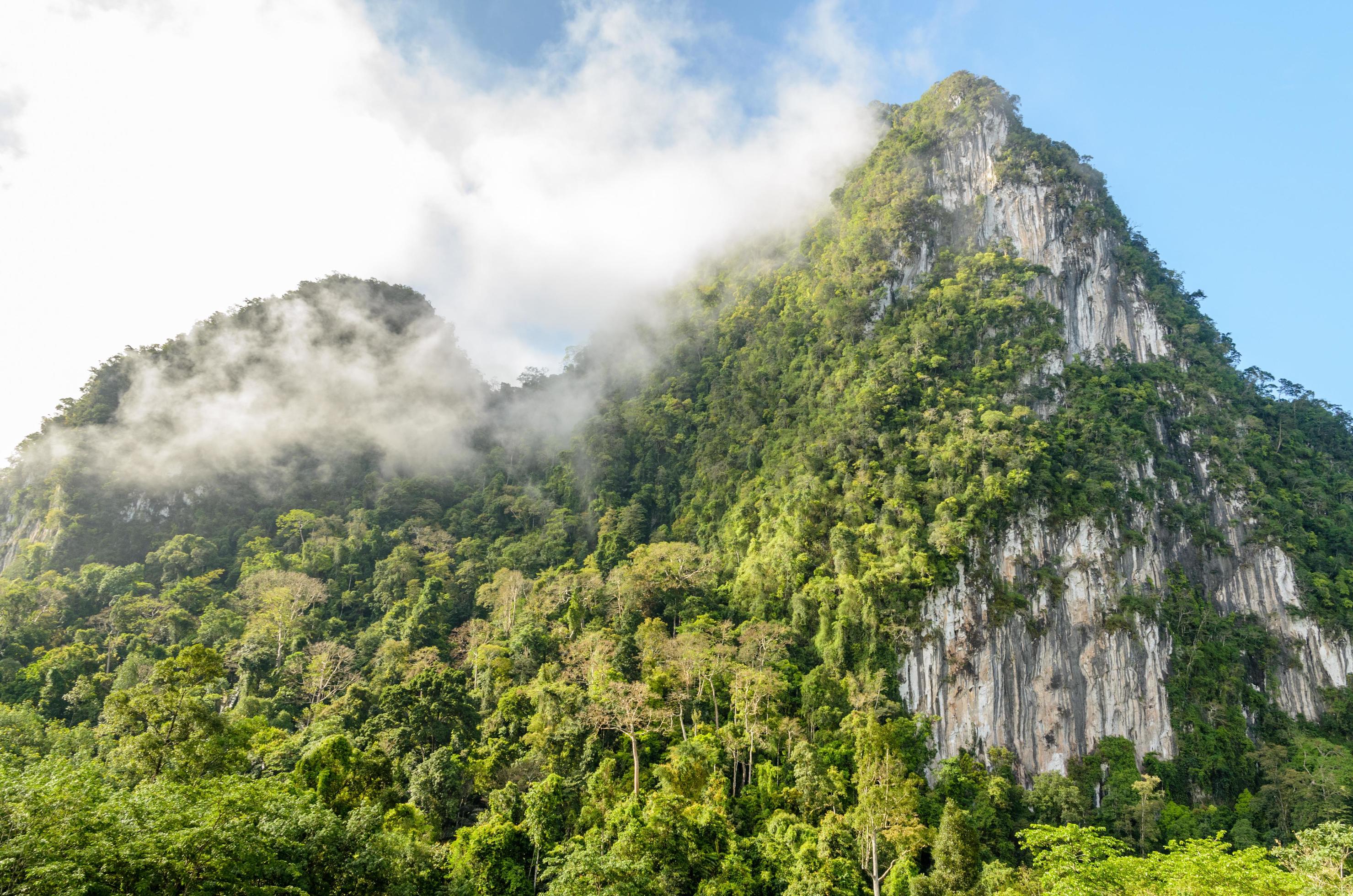 Lush high mountains covered by mist Stock Free