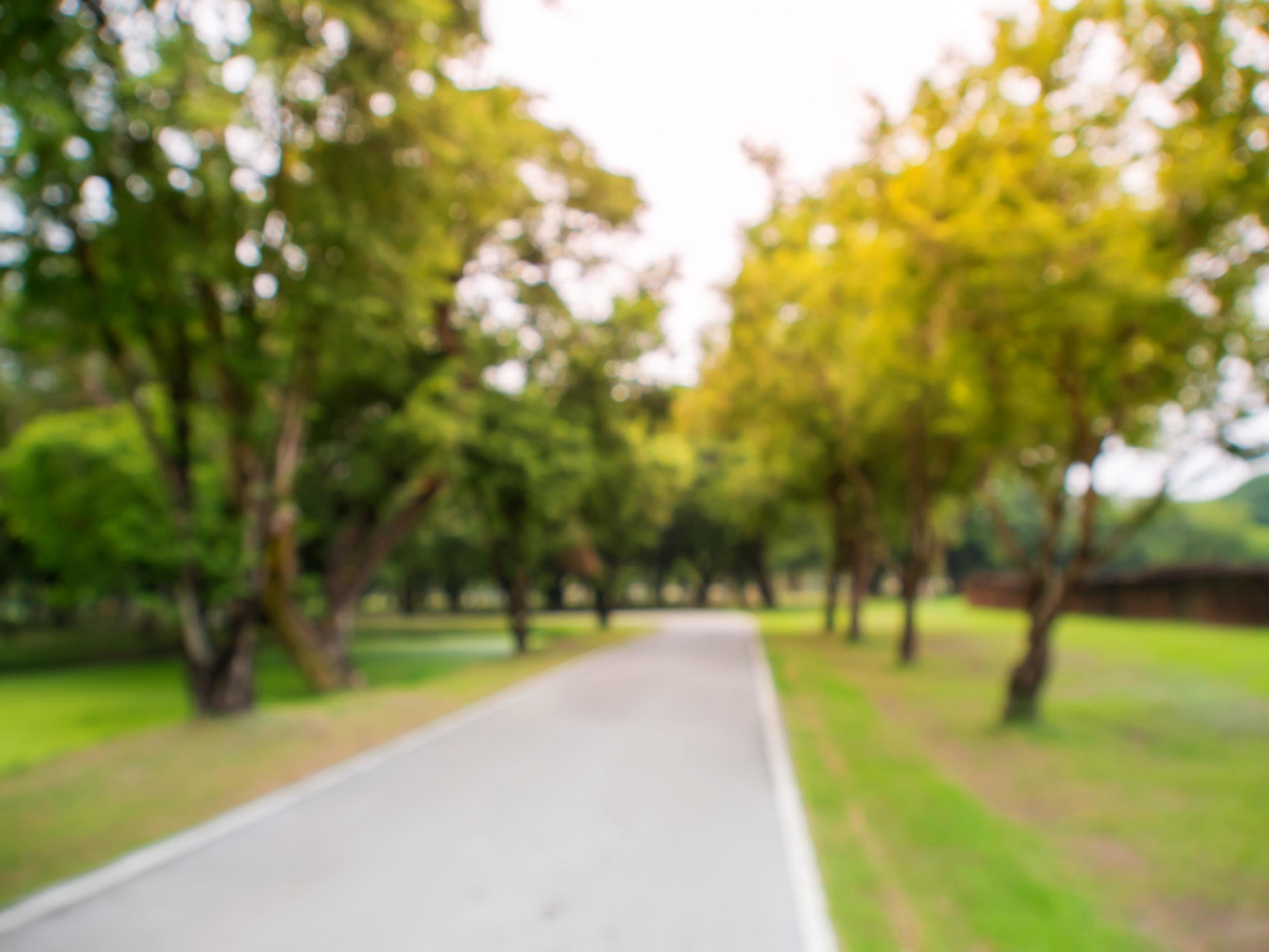 Blurred image natural green park background wallpaper Stock Free