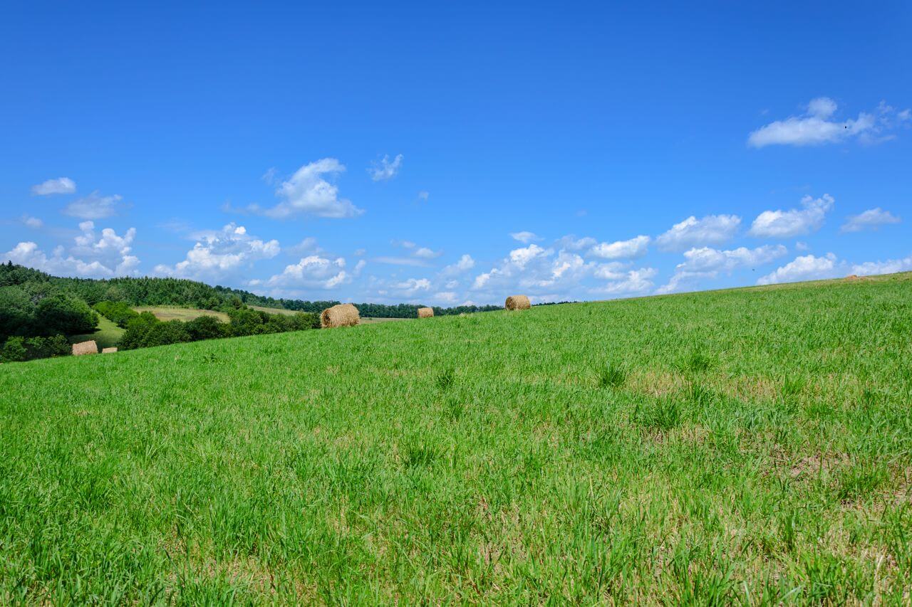 Agriculture Stock Free