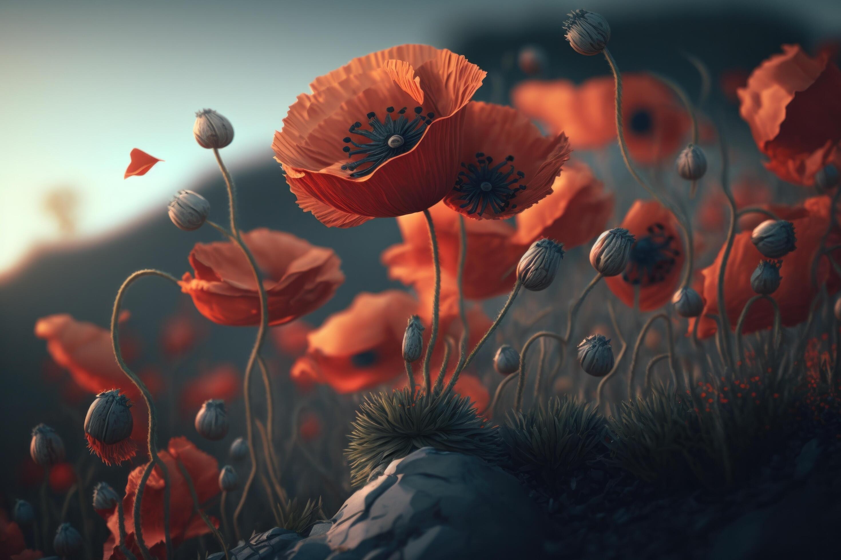 Poppy flower meadow. Illustration Stock Free