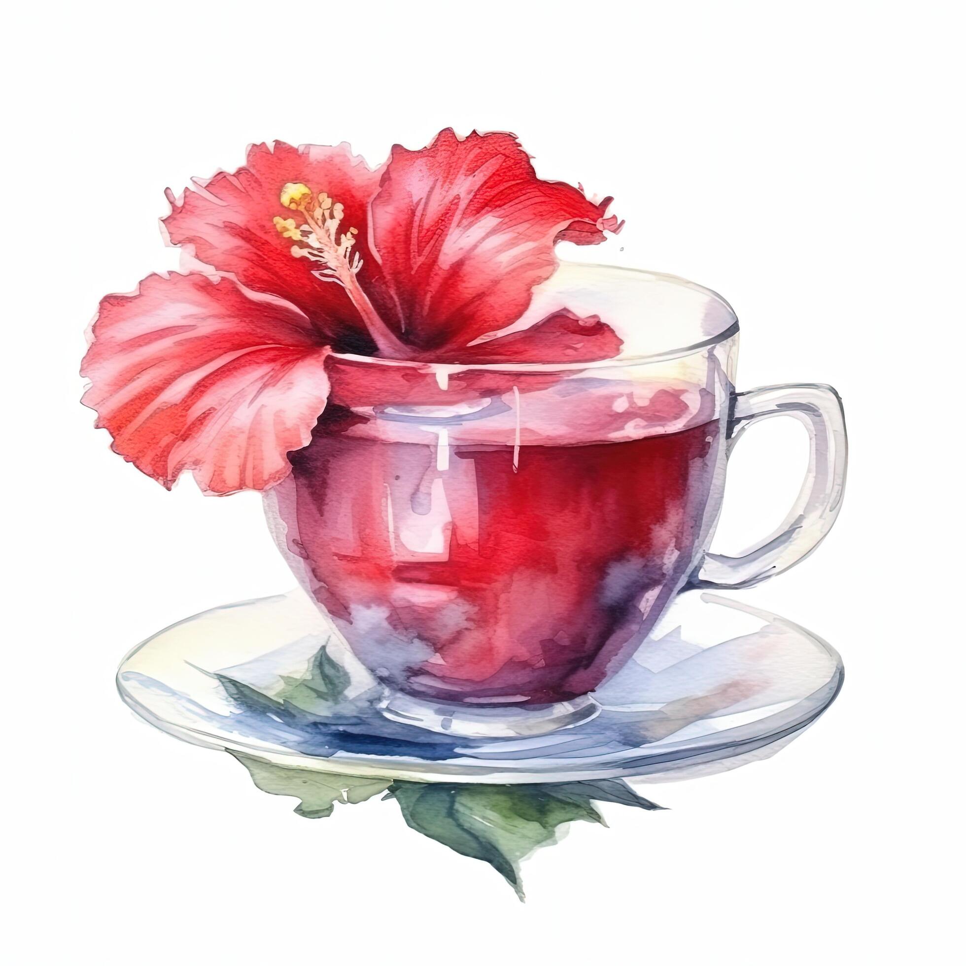 Watercolor tea with hibiscus flower. Illustration Stock Free