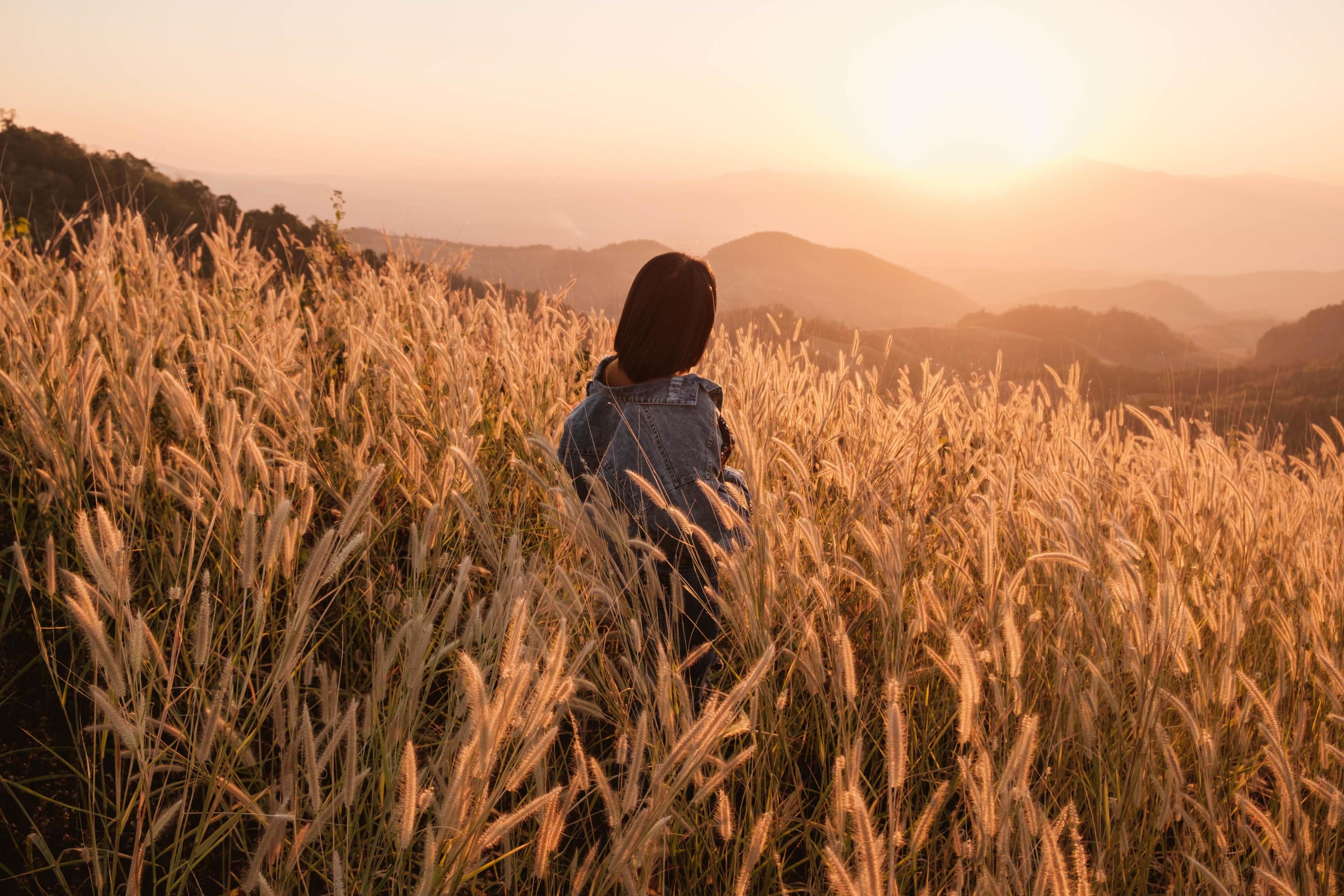 Woman in a meadow at sunset Stock Free