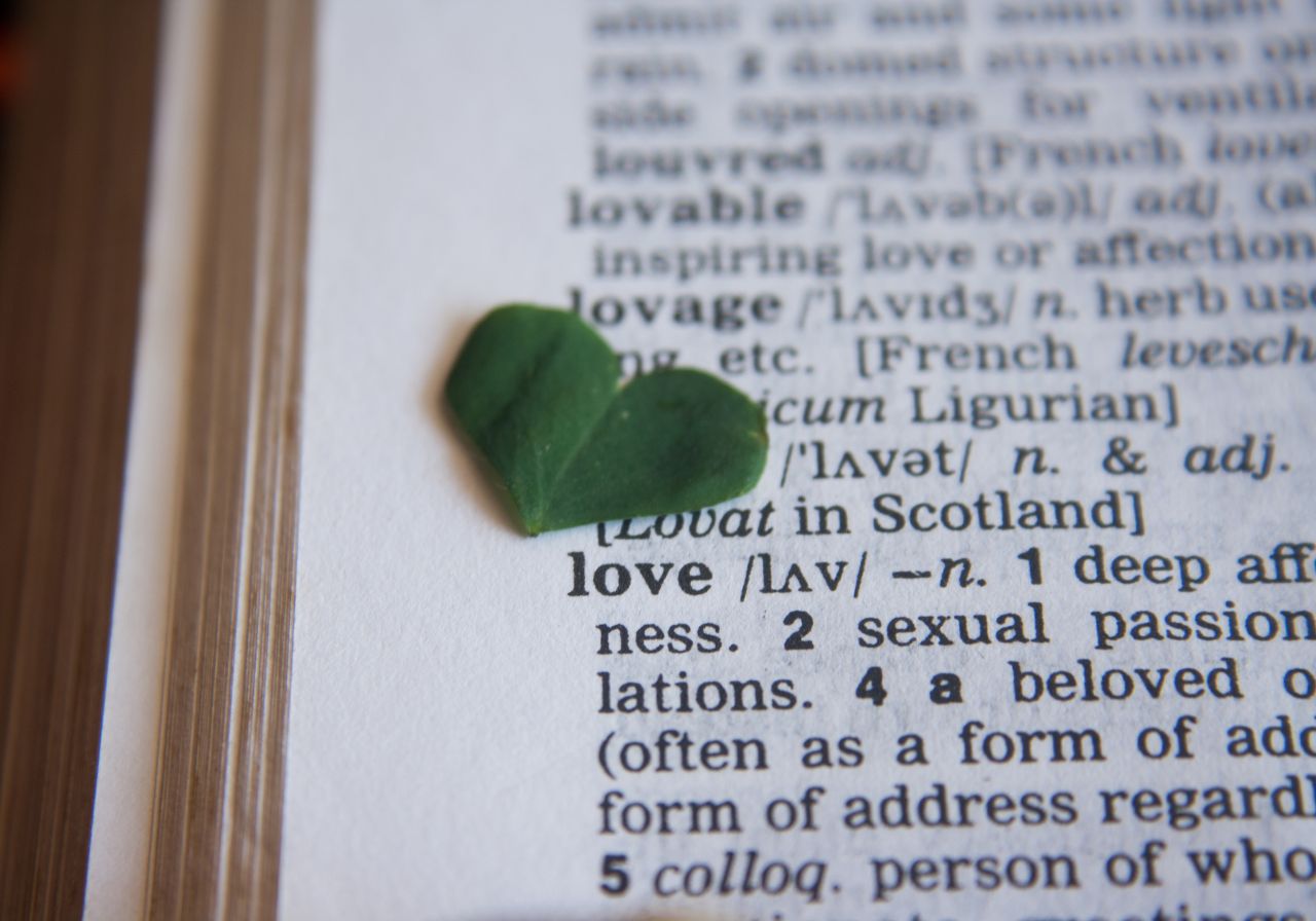 Love Heart Dictionary Stock Free