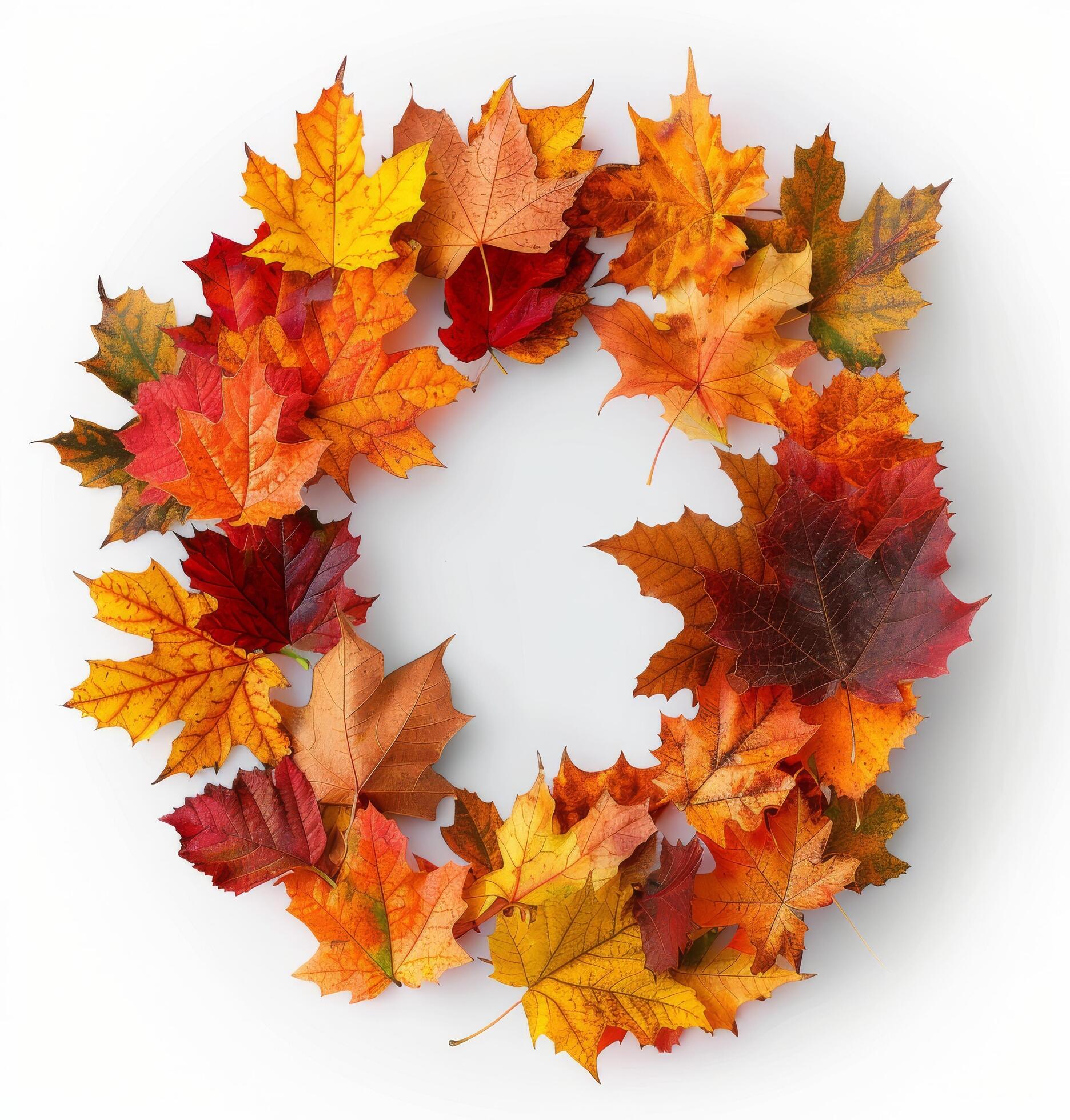 Autumn Wreath Made of Colorful Maple Leaves on a White Background Stock Free