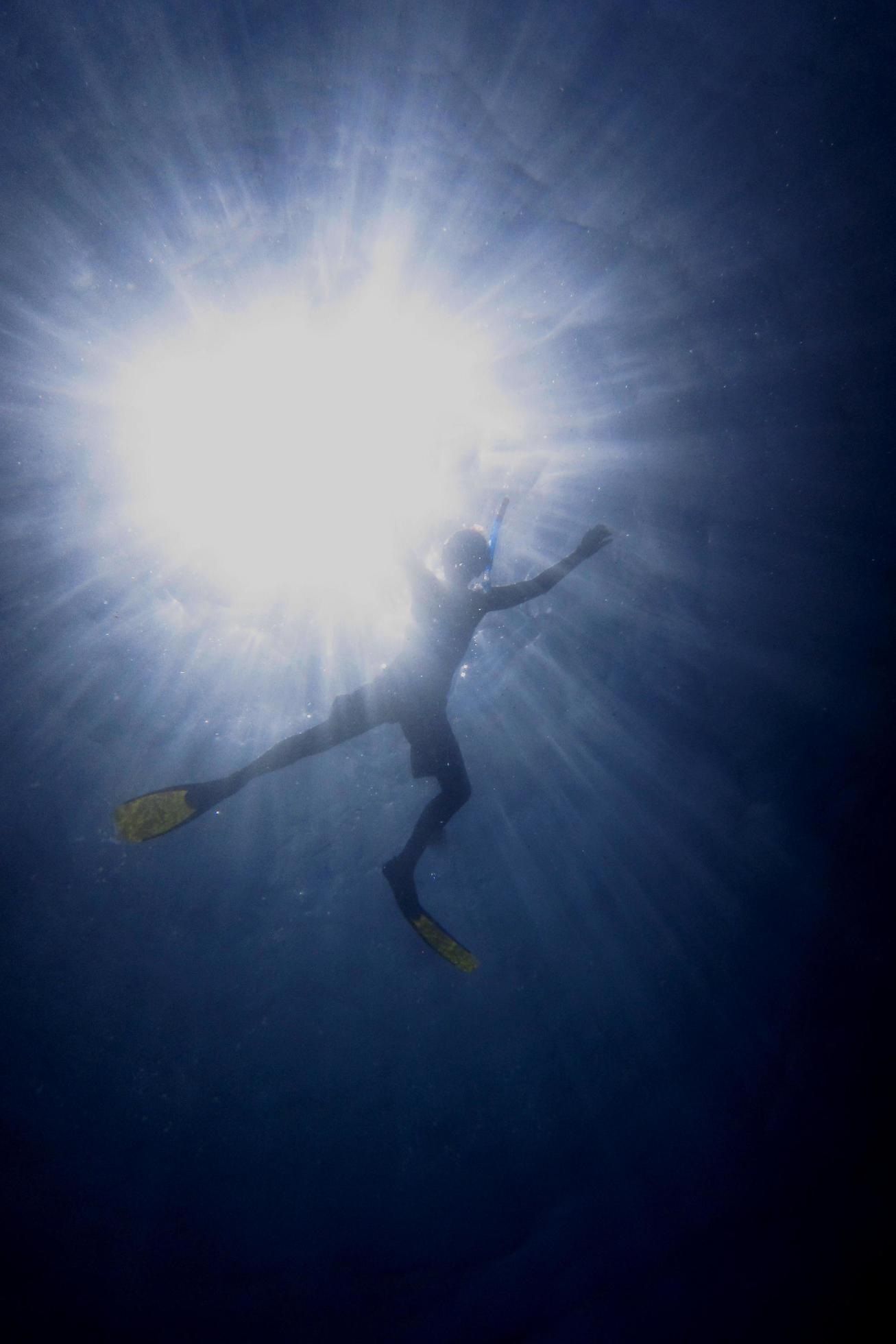 snorkelling in sea with sun Stock Free