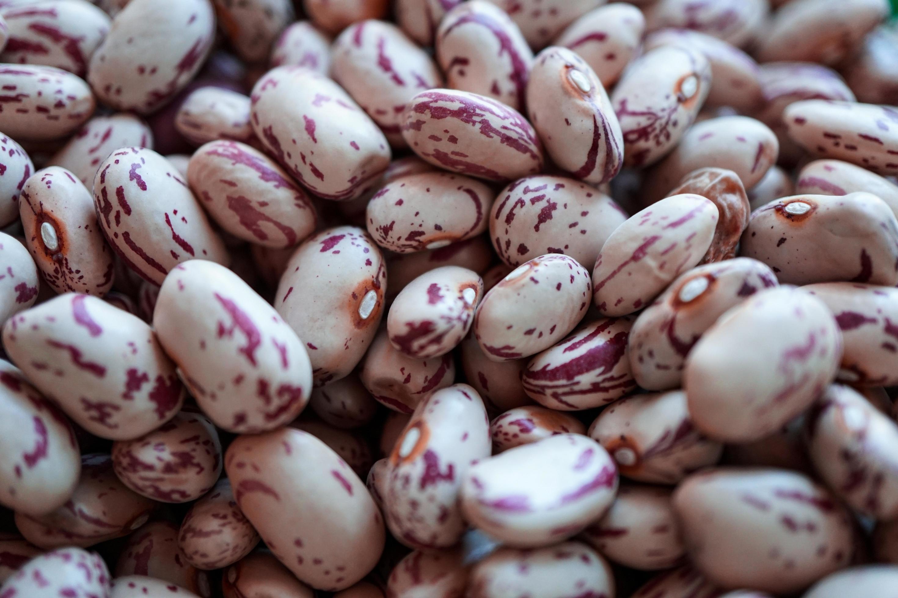 uncooked red beans, mediterranean food Stock Free