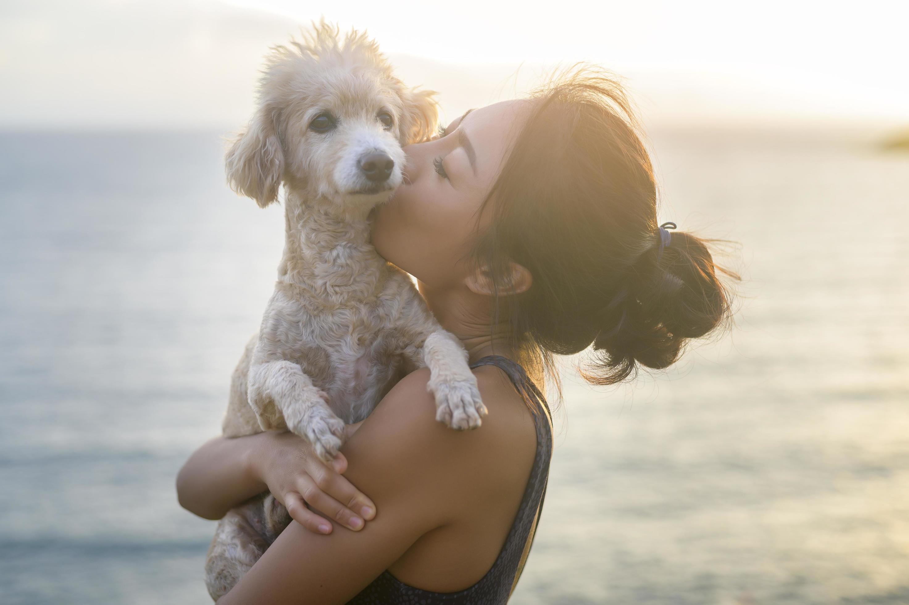 Young Beautiful woman with her dog enjoying and relaxing on the seaside during sunset, Summer, vacation, holidays, Lifestyles concept. Stock Free