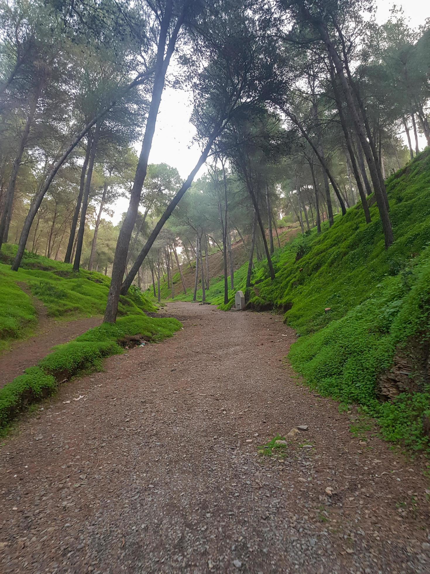 Discover the natural mountain footpath in the middle of the valley Stock Free