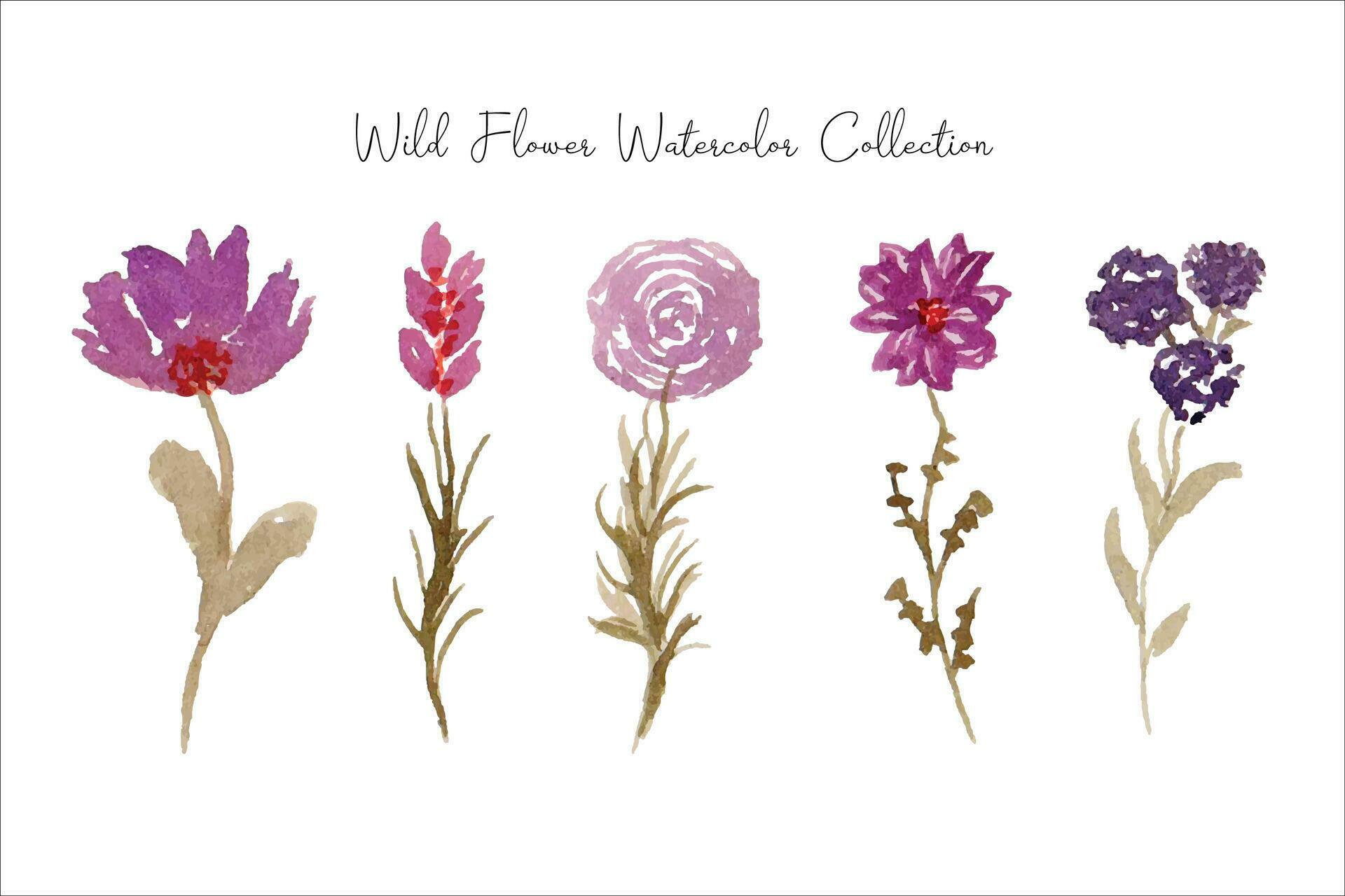 purple wild flower and leaf watercolor Stock Free