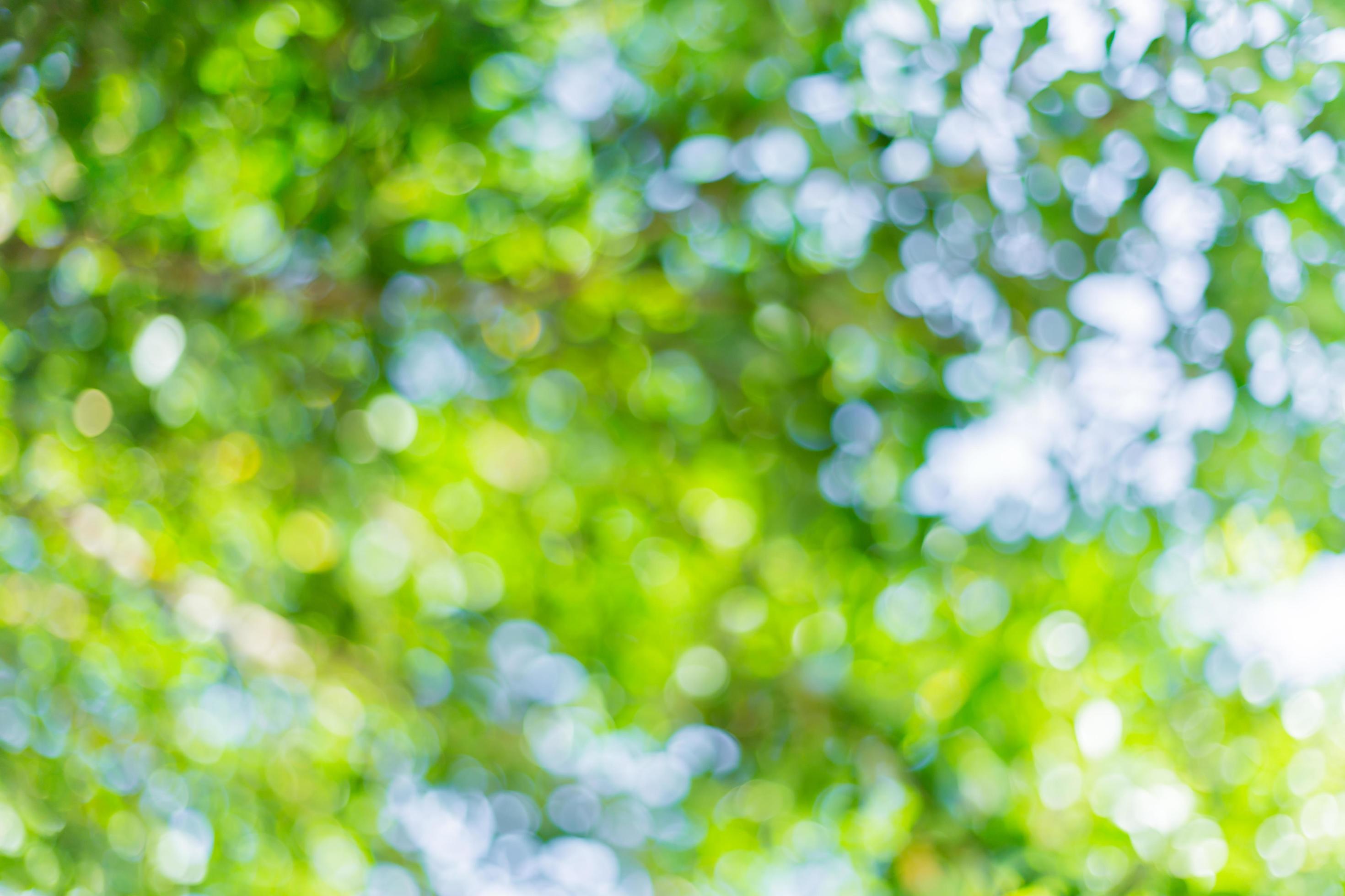 green leaf bokeh blurred for nature background Stock Free