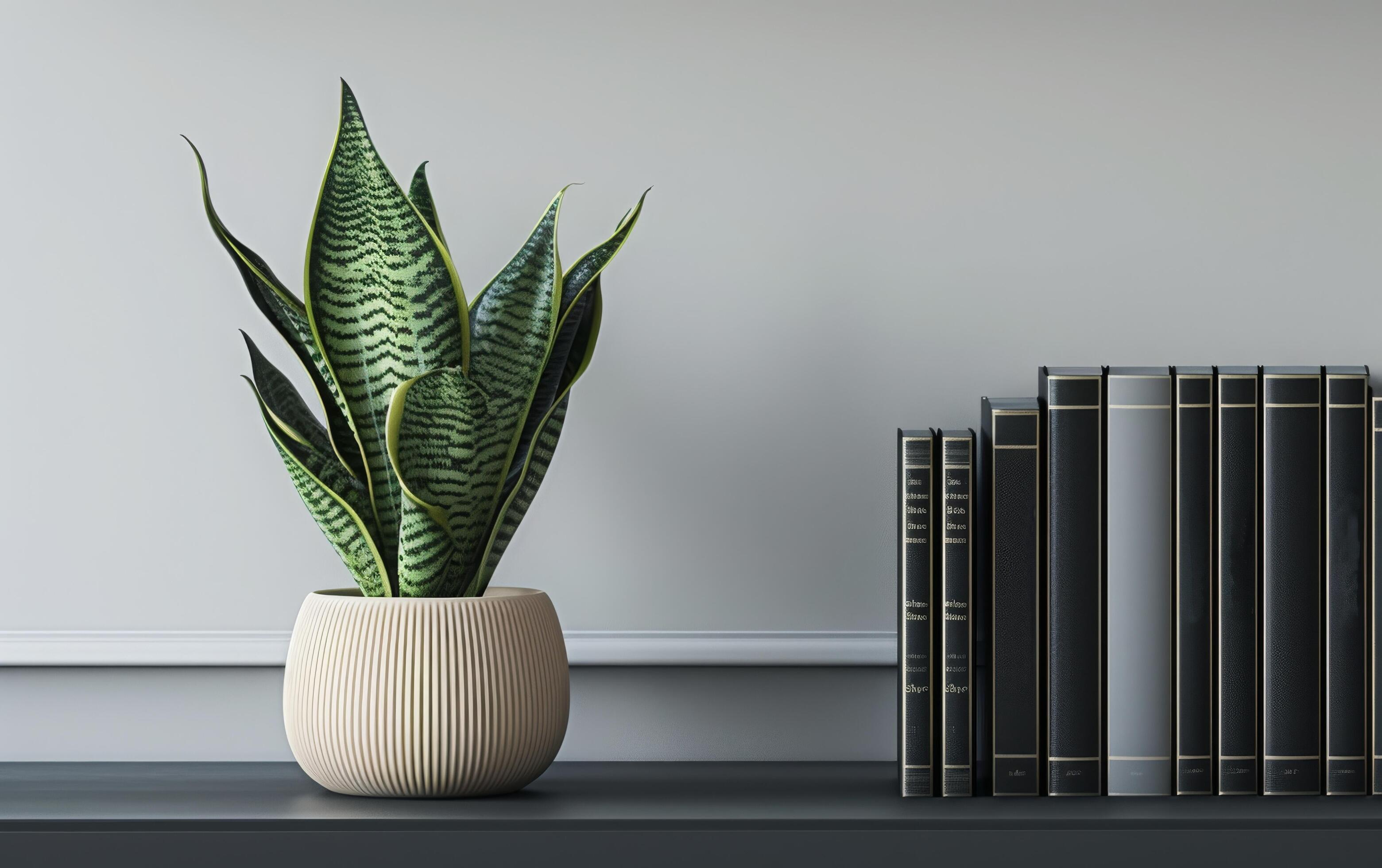 AI generated A potted snake plant adds a touch of greenery to a minimalist shelf arrangement Stock Free