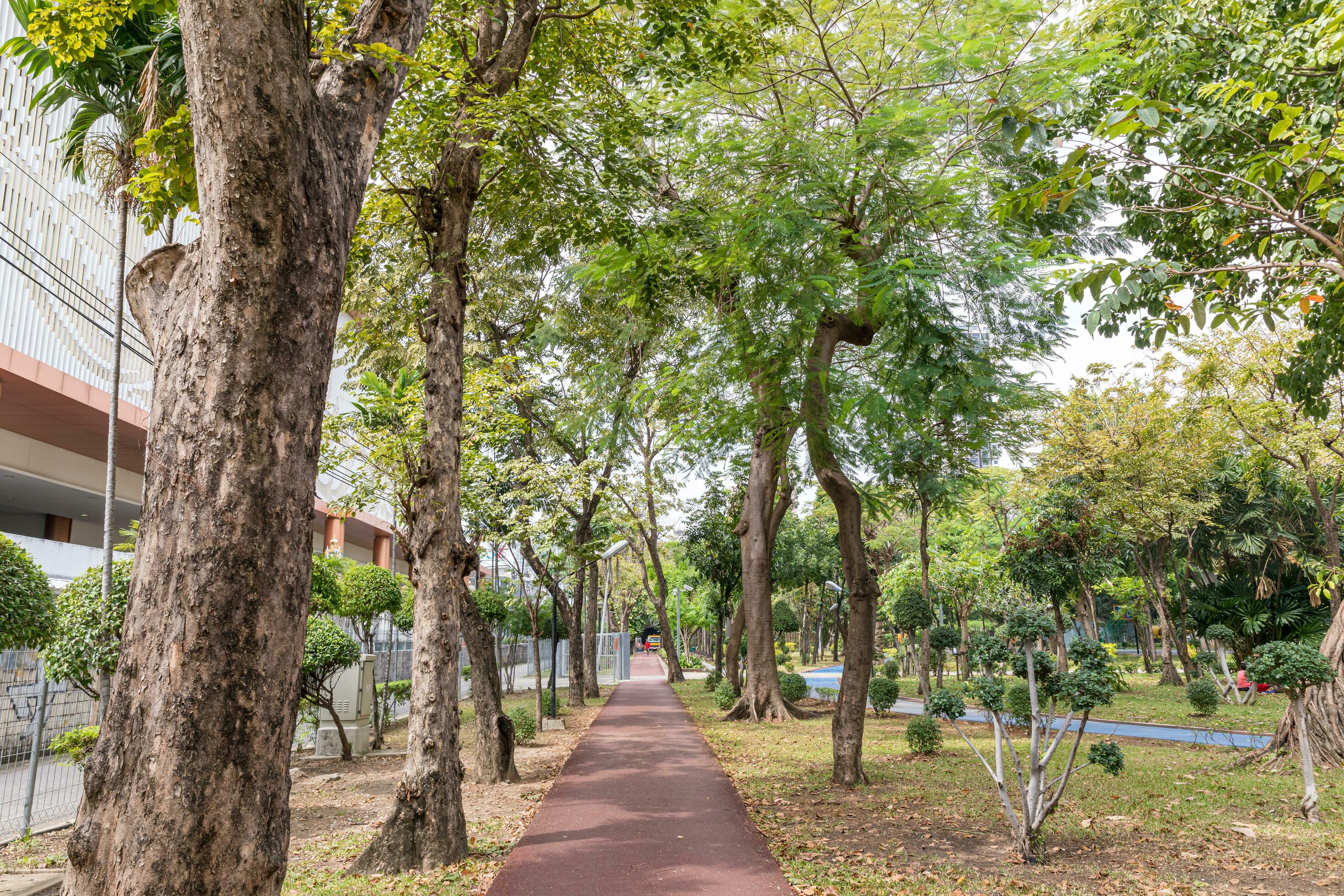 Walkway in a natural park with good weather Stock Free