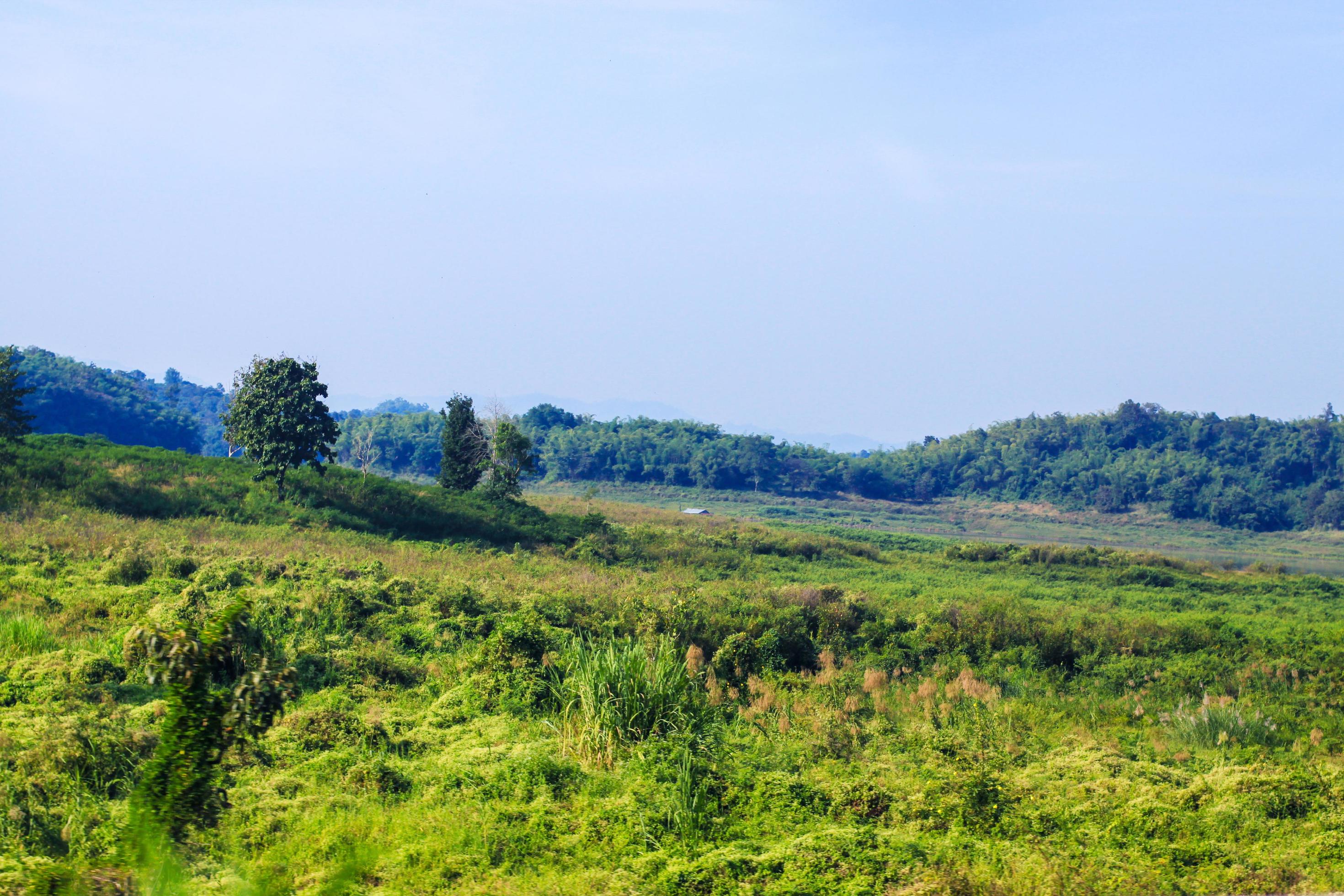 Landscape of green meadow on the mountain with blue sky and clond Stock Free