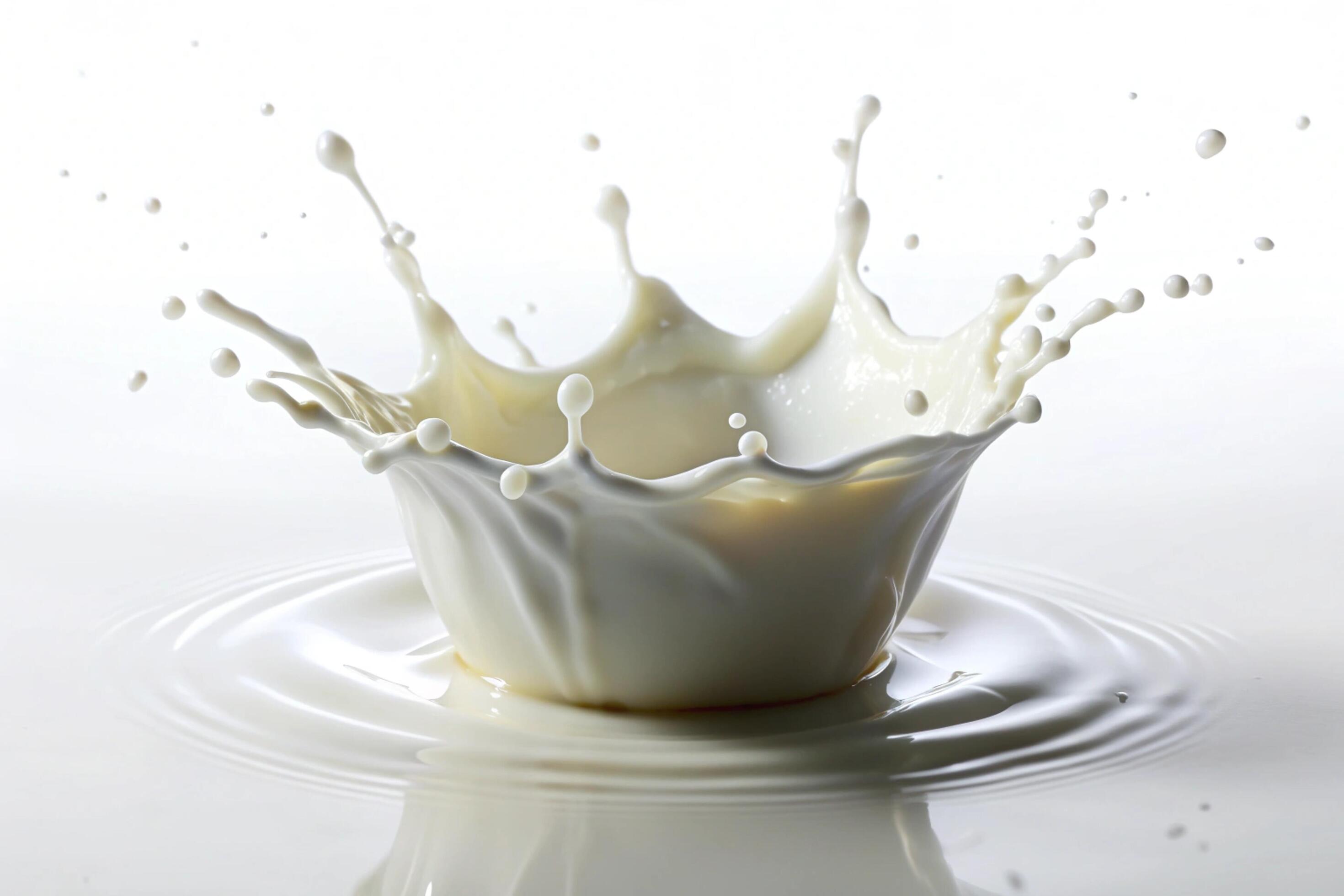 Milk splashes on white background Stock Free