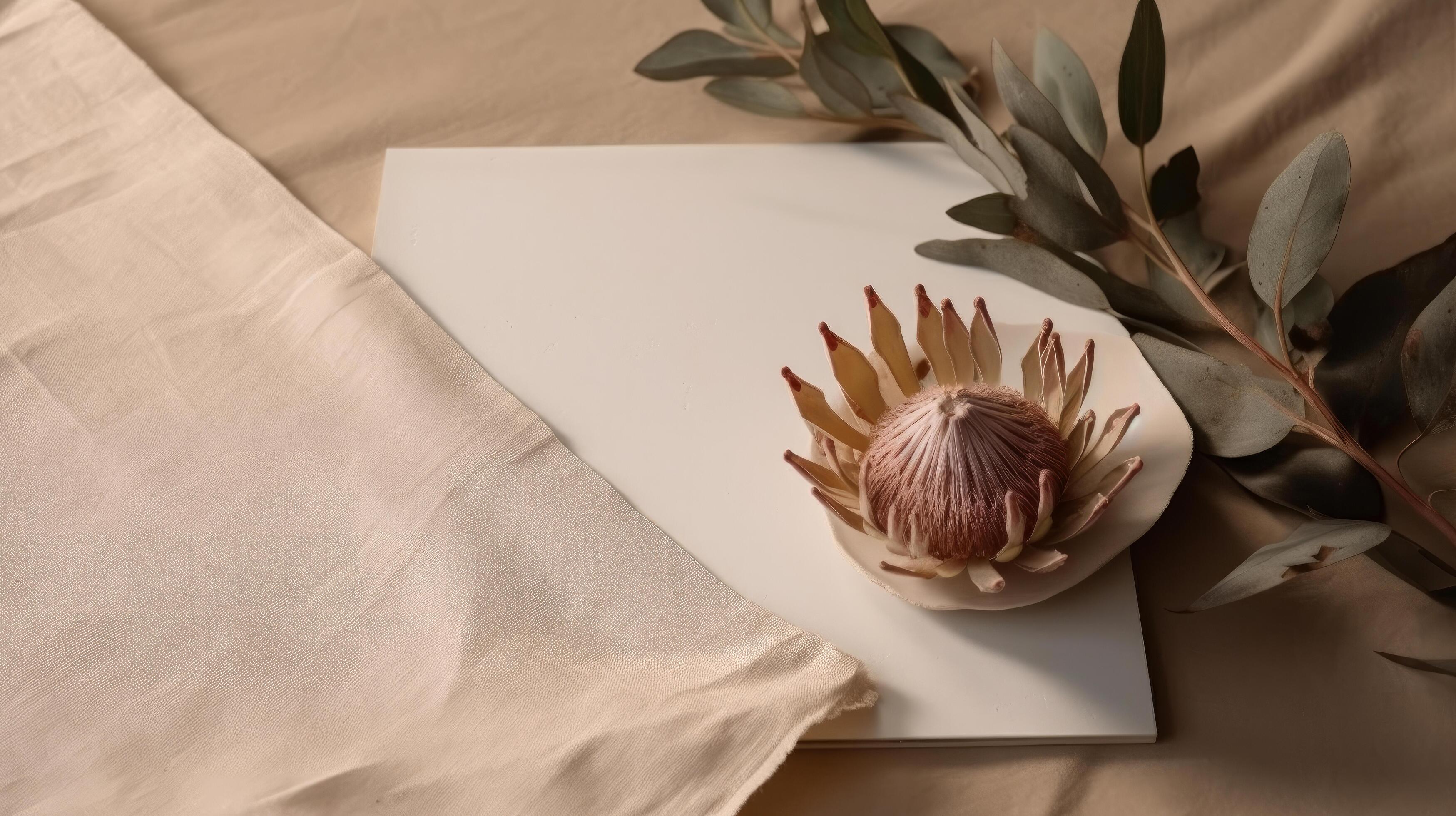 Dried protea flower with blank paper card. Luxury Background. Illustration Stock Free