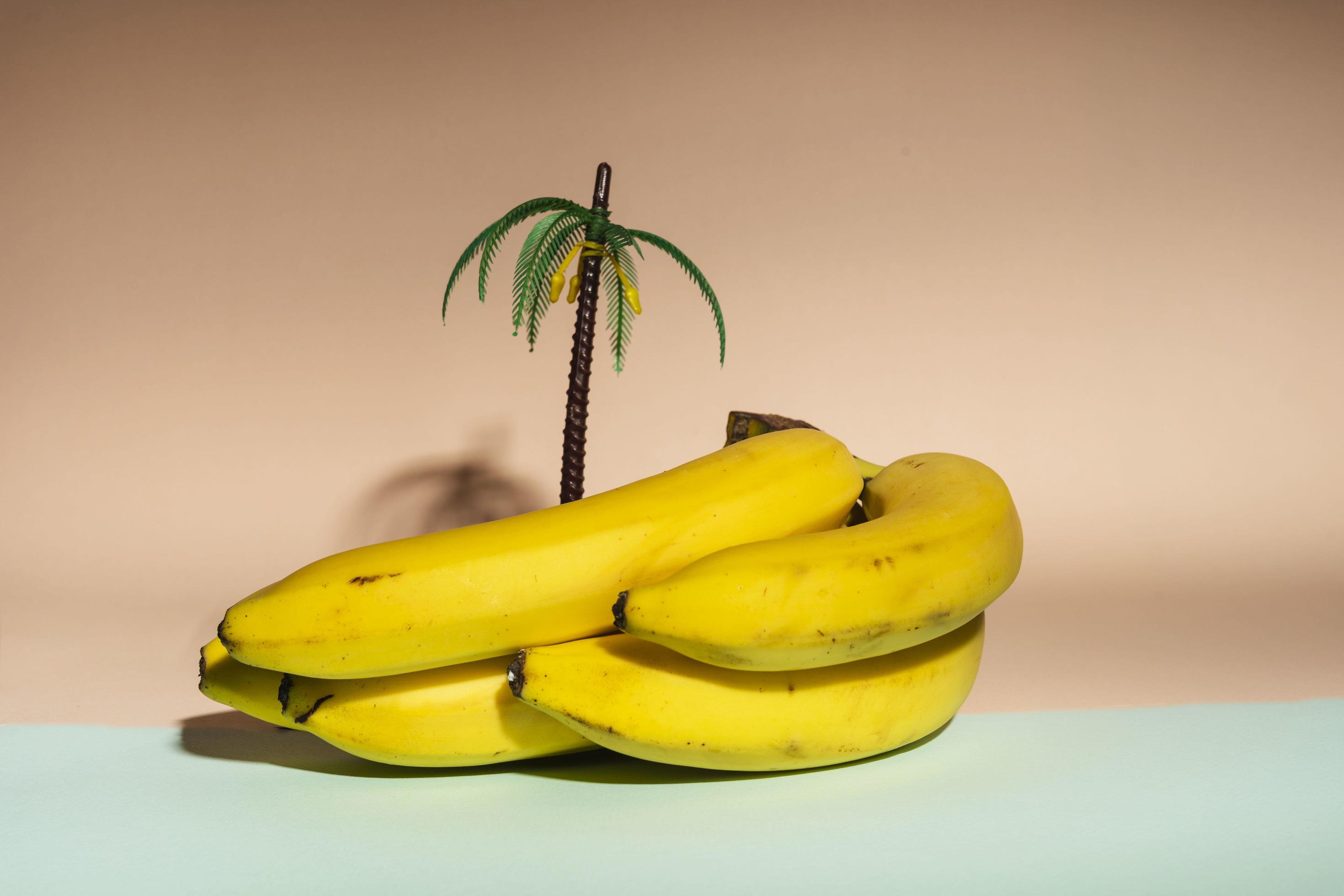 yellow bananas and a palm tree figurine on a pink and turquoise background, minimalism, healthy food, sea holidays Stock Free