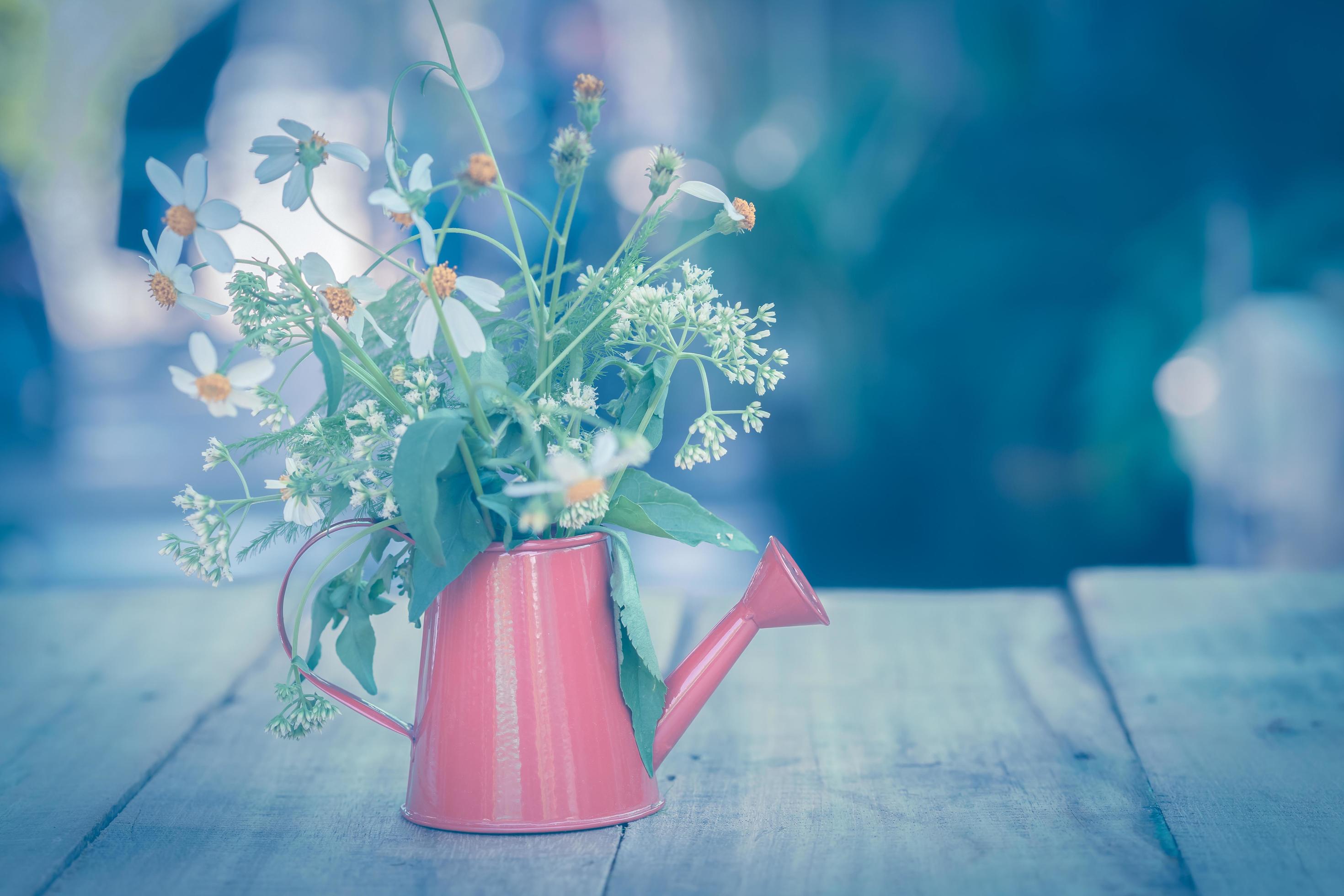 Decoration with small flowers in a red watercan Stock Free