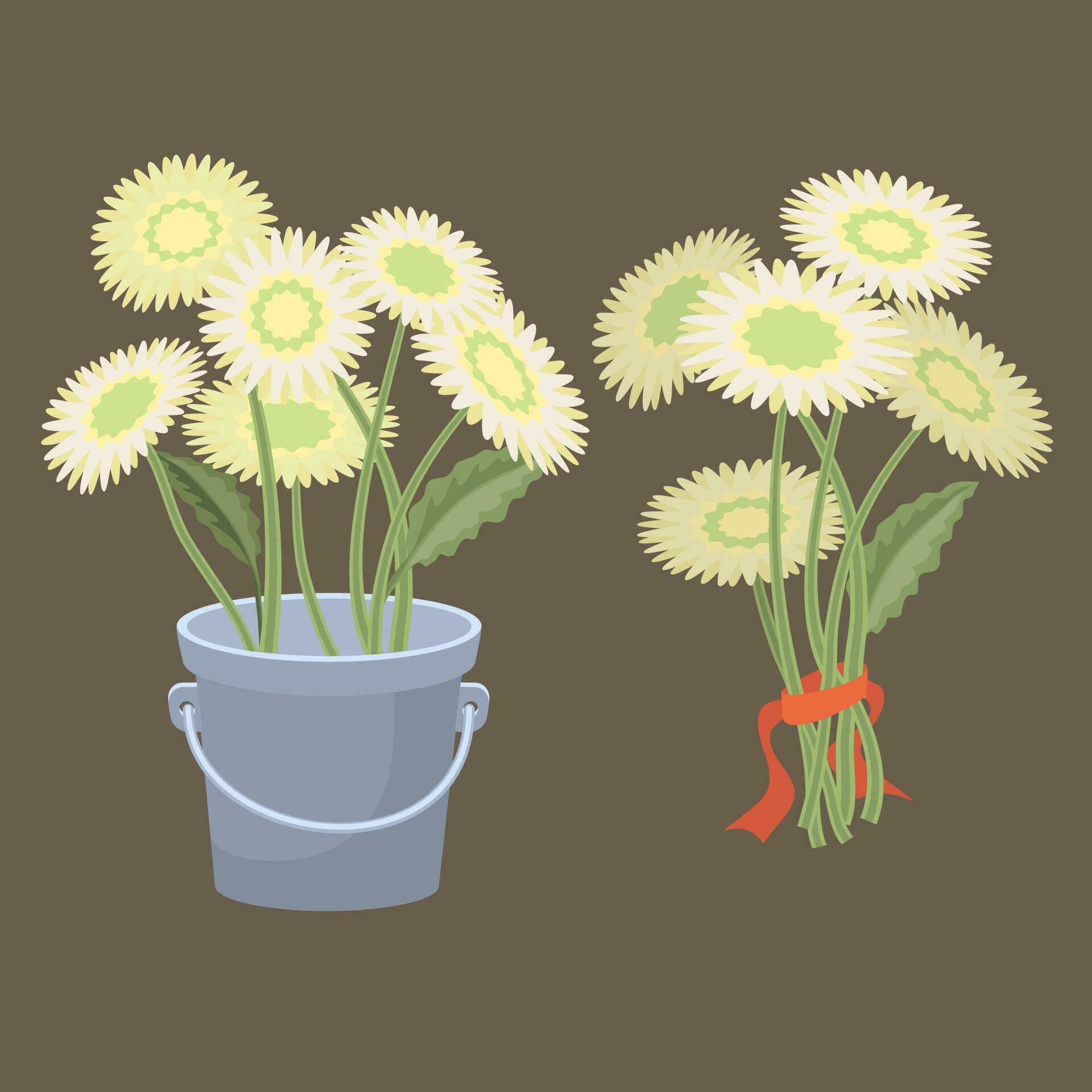 A set of a bouquet of flowers. Gerberas. Vector illustration. Stock Free