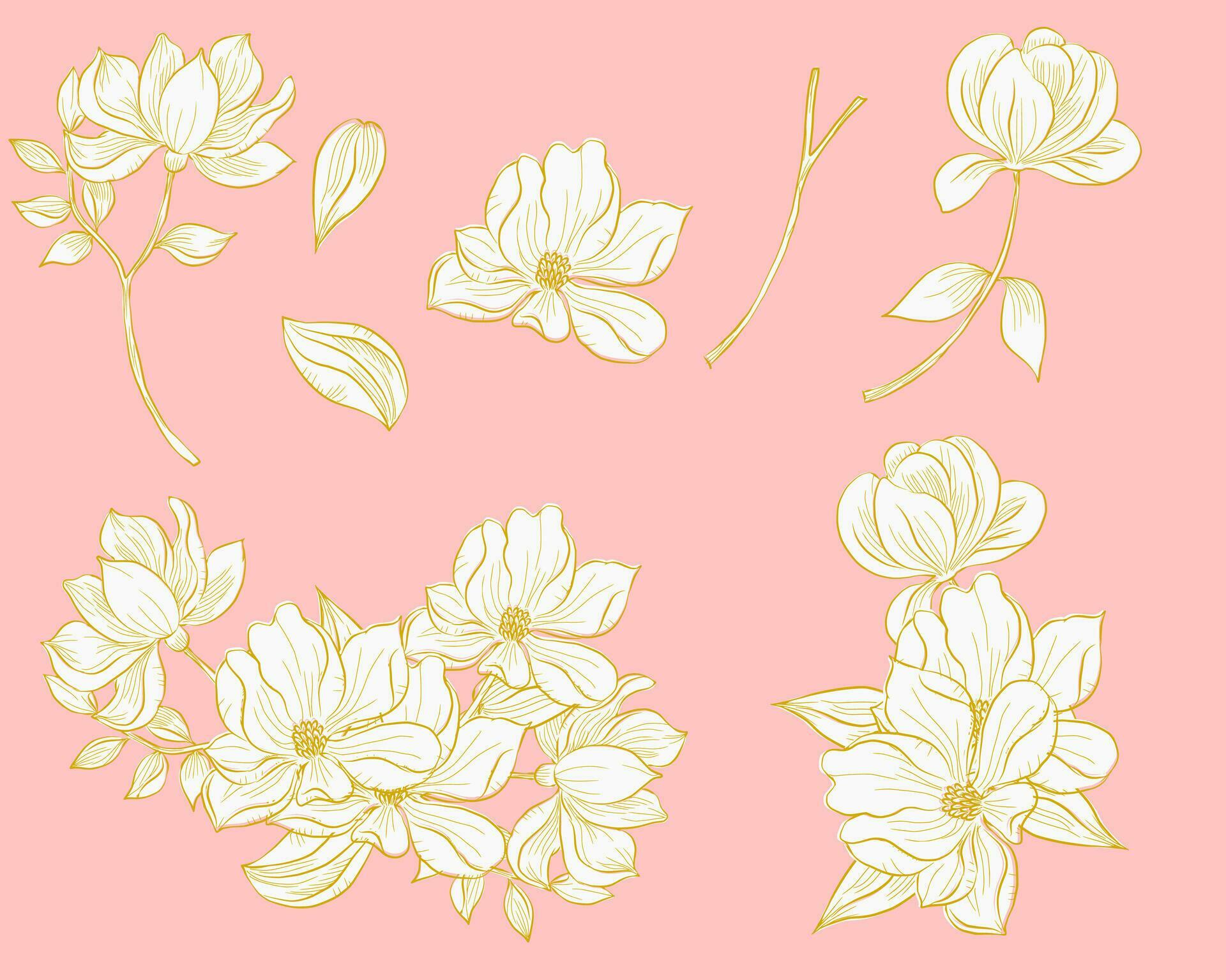 Hand Drawn Gold Magnolia Flower Stock Free