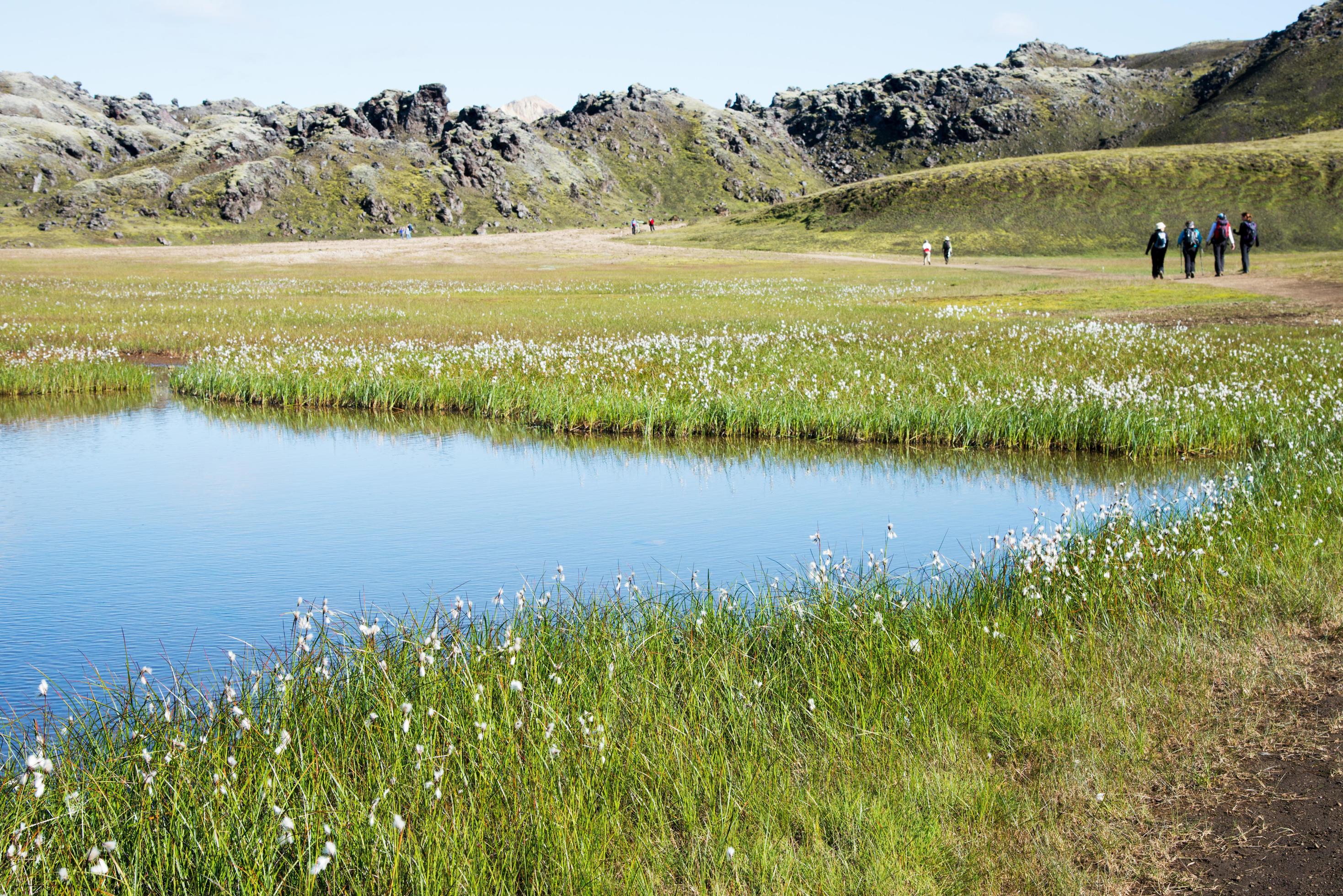 Beautiful landscape with lake and mountains. Unrecognizable people hiking Stock Free