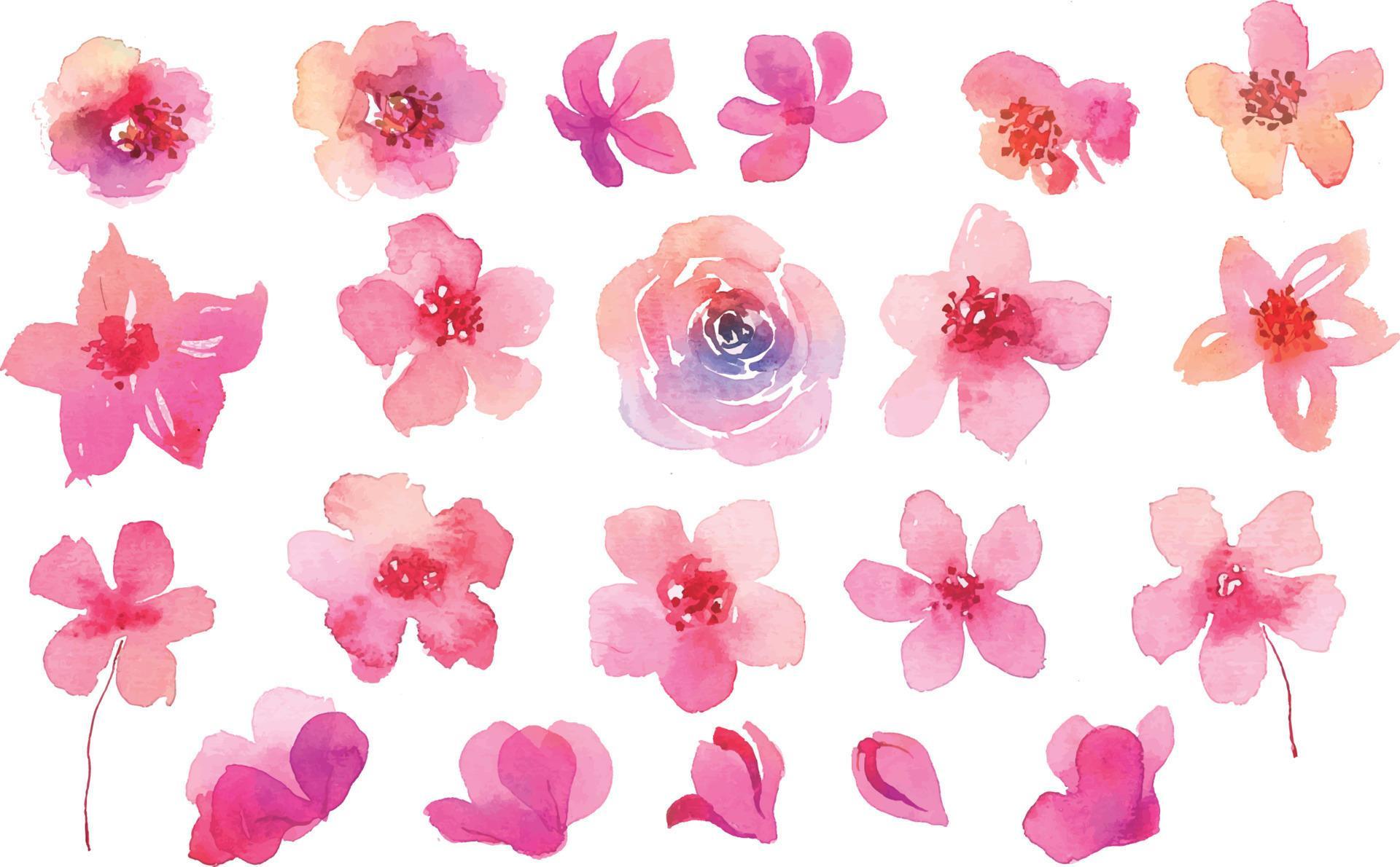 Collection of pink flowers in watercolor Stock Free